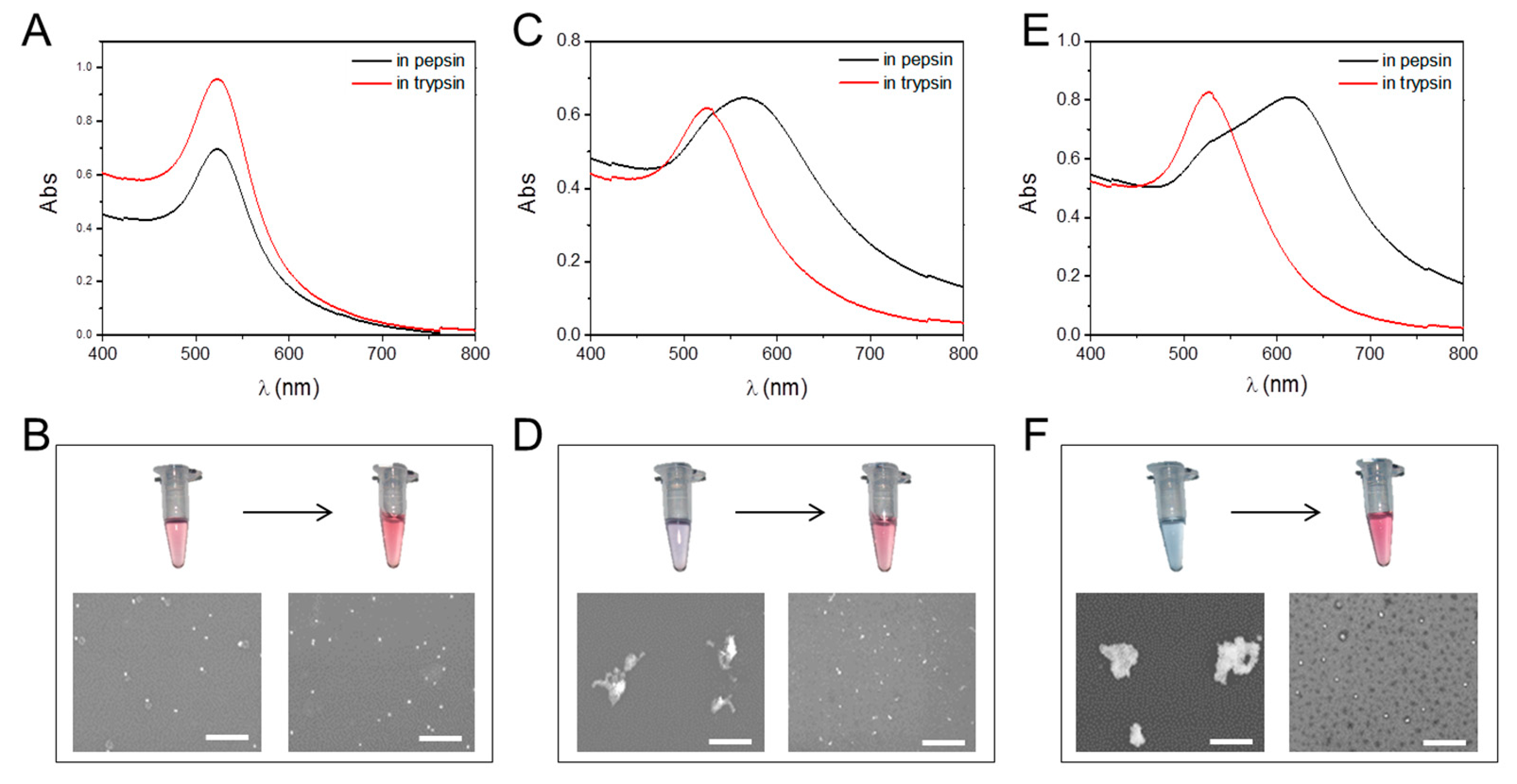 Molecules 25 00919 g002