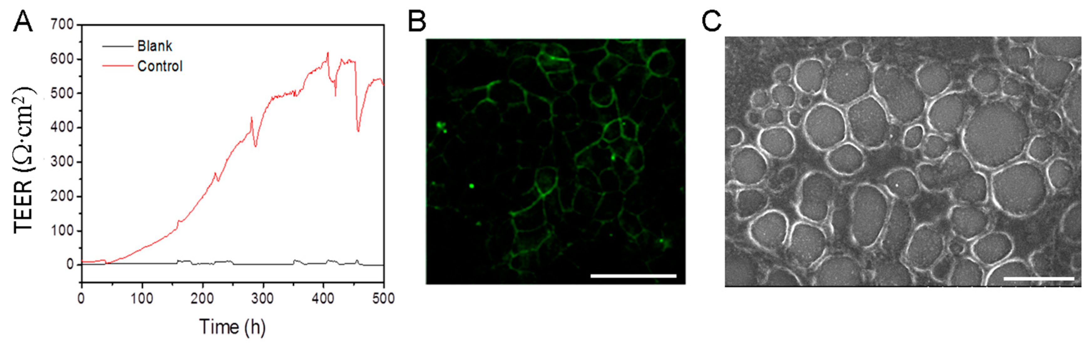 Molecules 25 00919 g003