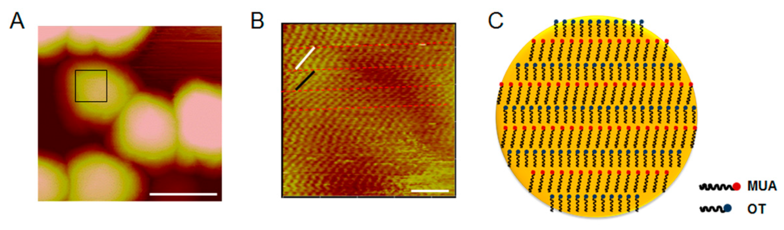 Molecules 25 00919 g008