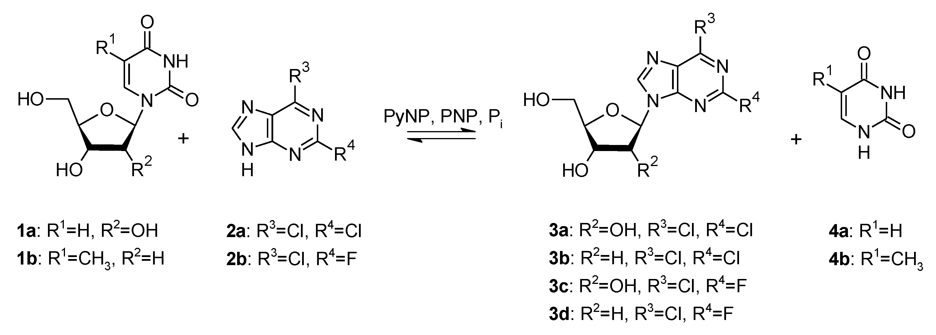 Molecules 25 00934 sch001