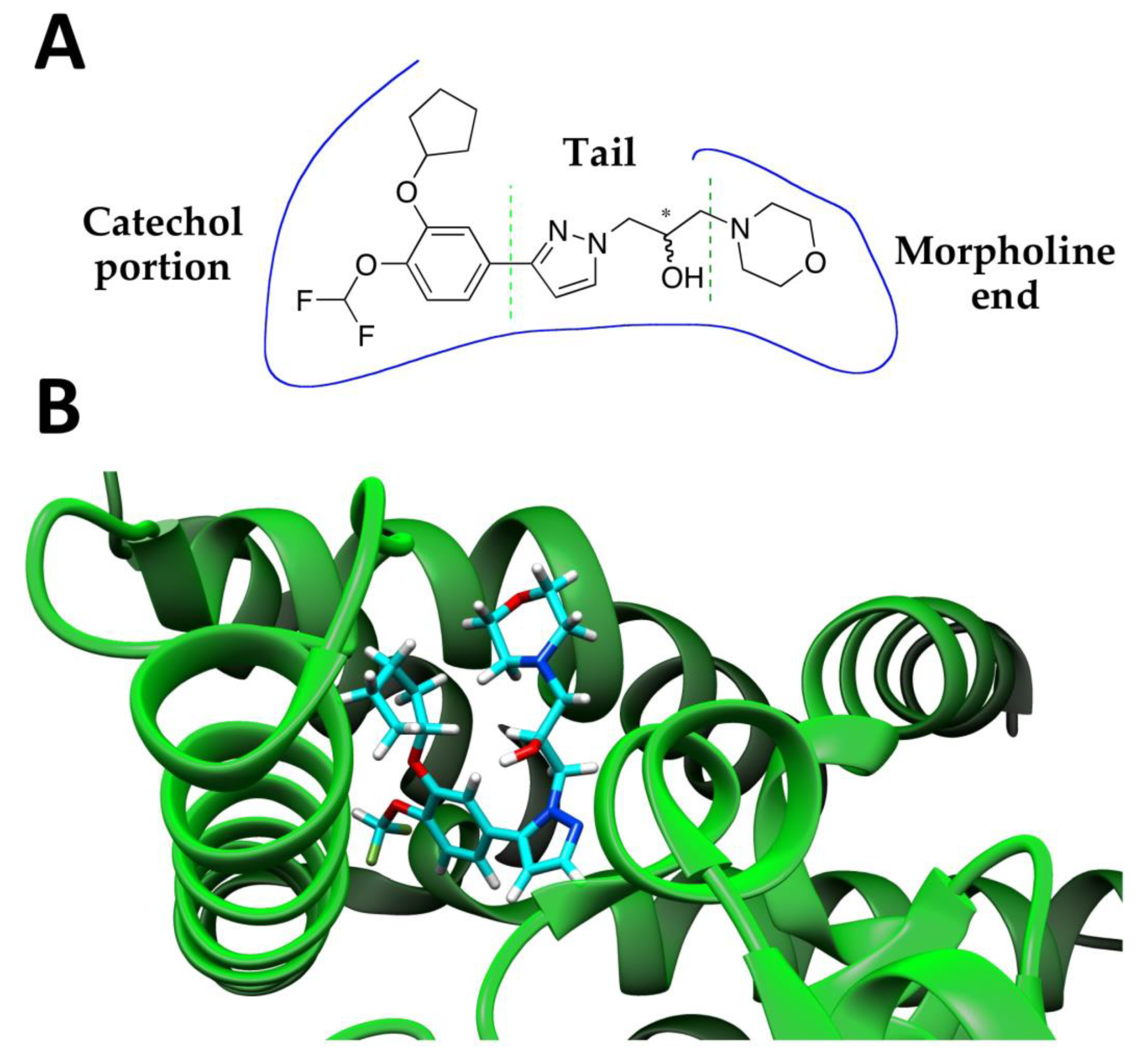 Molecules 25 00935 g001