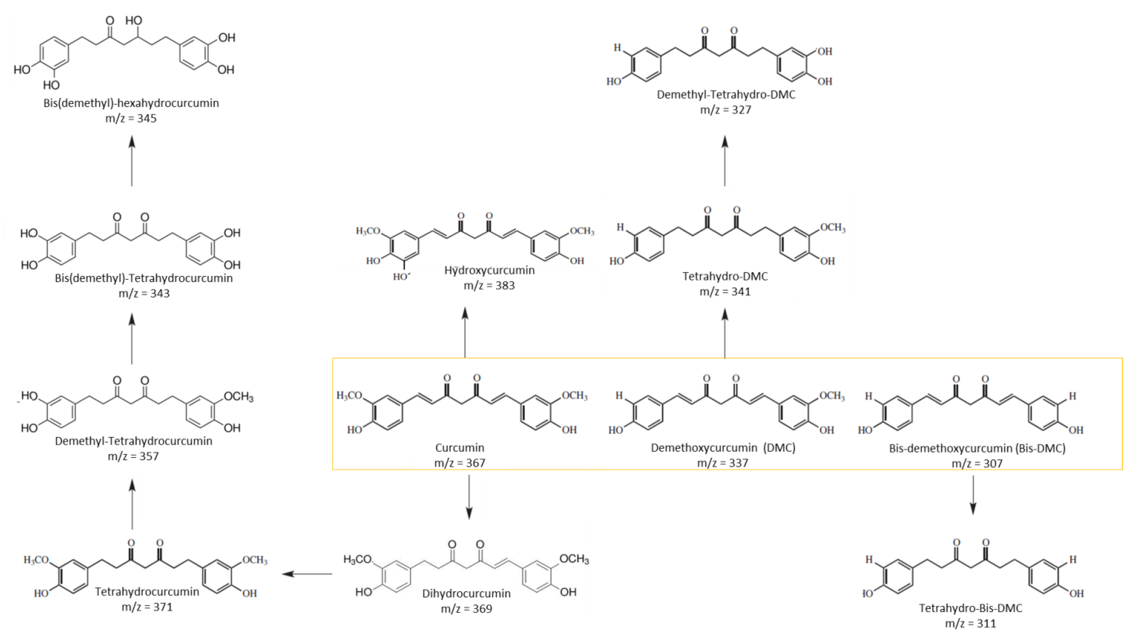 Molecules 25 00940 g001 Molecules 25 00940 g001