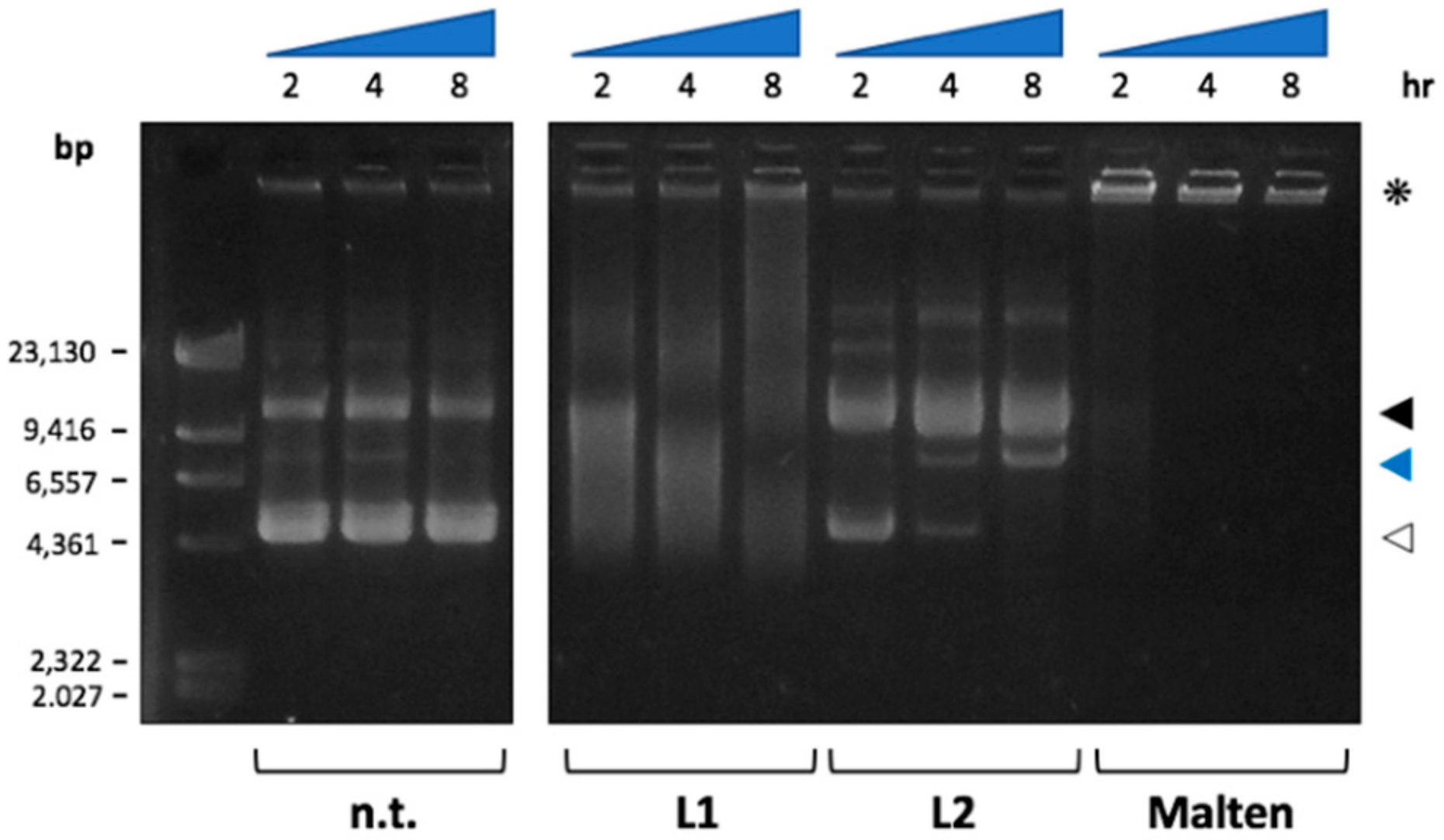 Molecules 25 00943 g009