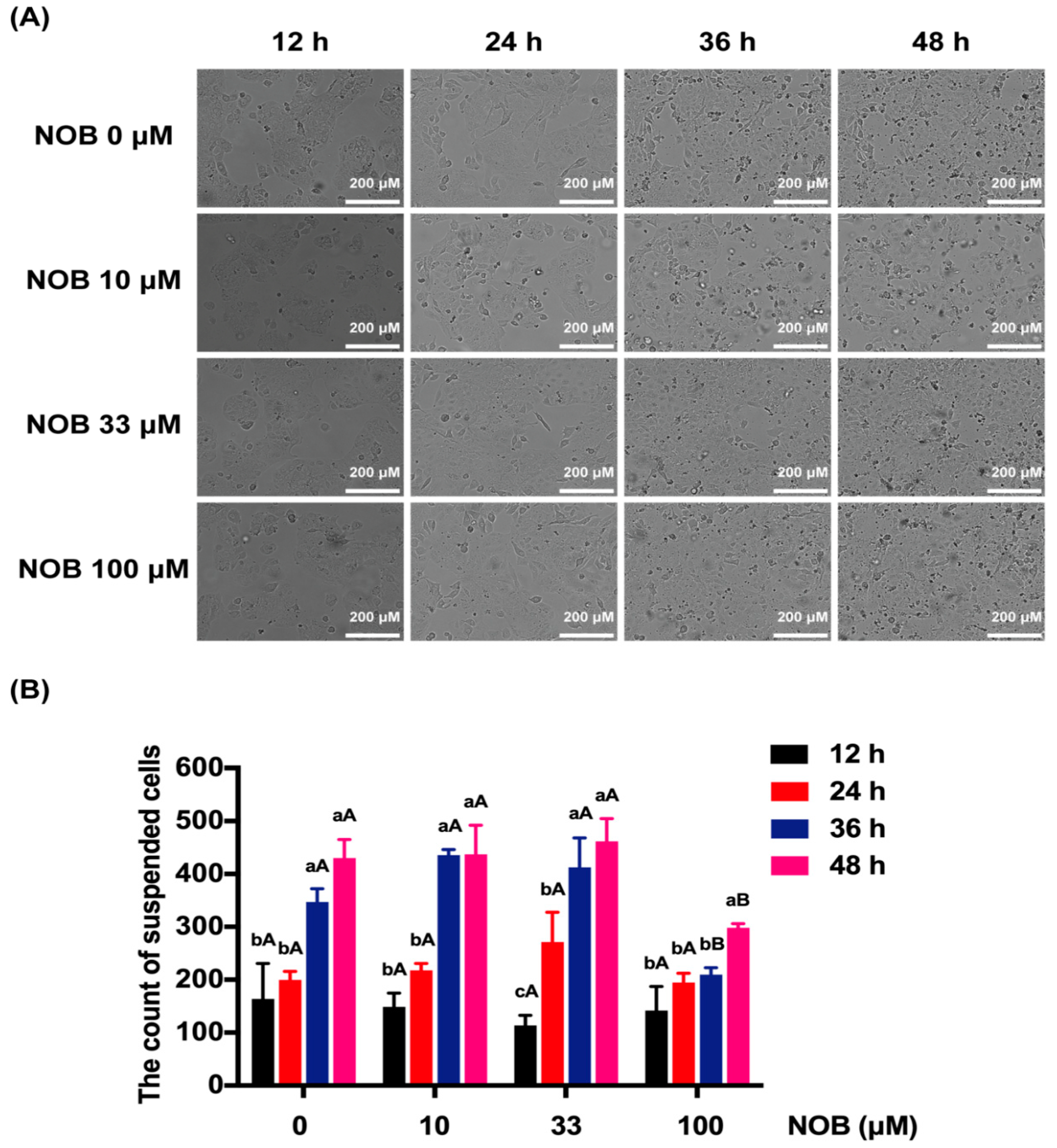 Molecules 25 00946 g002