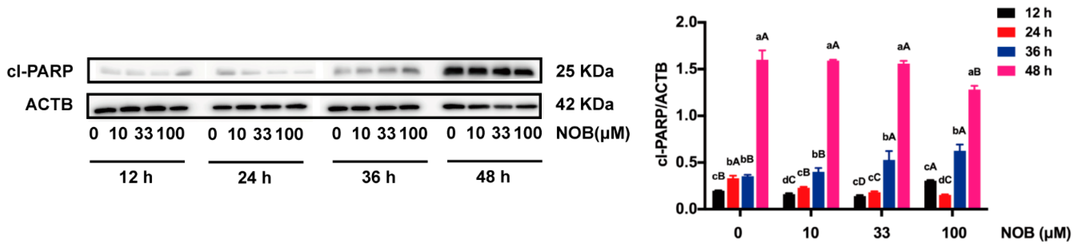 Molecules 25 00946 g006