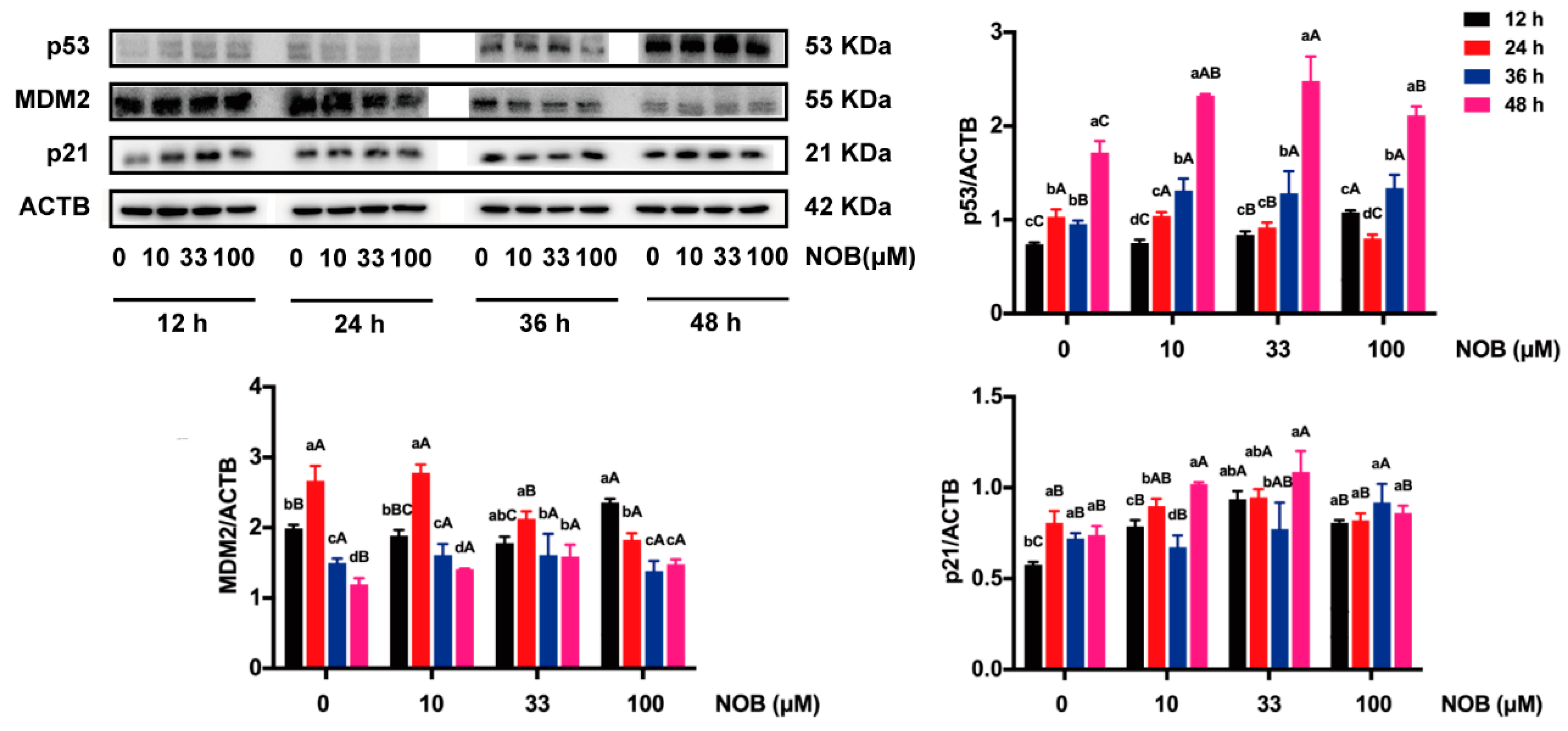 Molecules 25 00946 g008