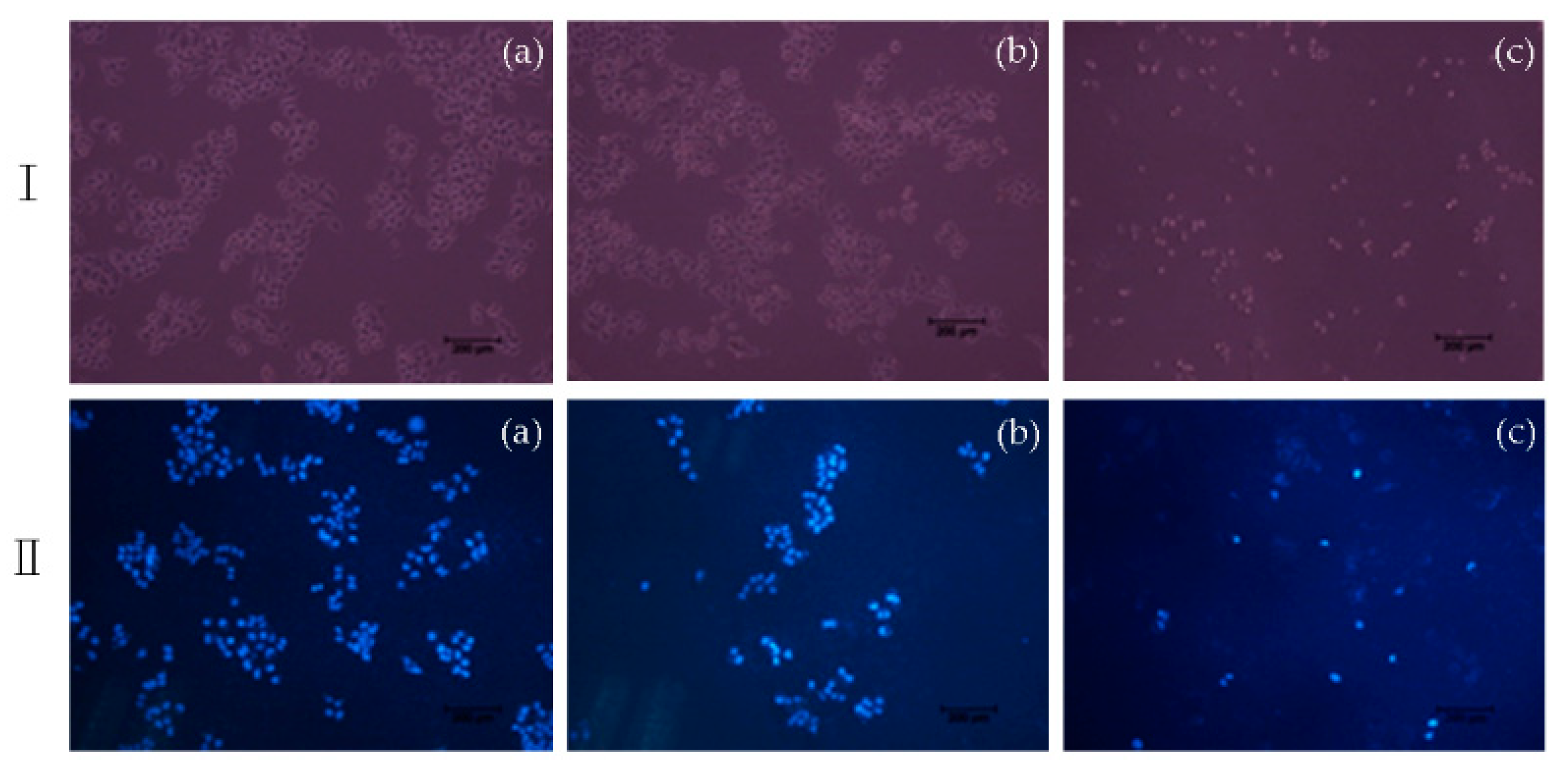 Molecules 25 00948 g005