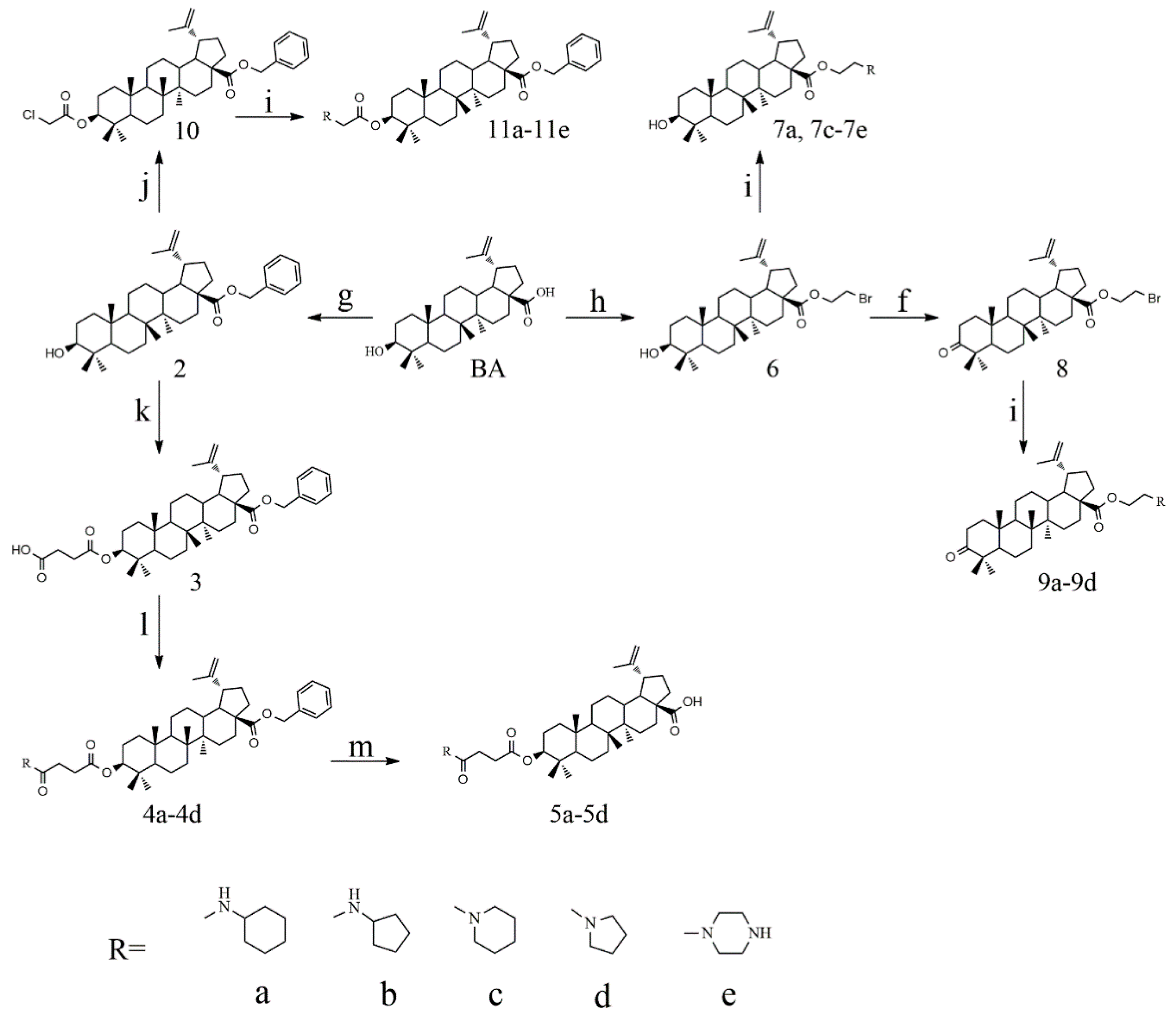 Molecules 25 00948 sch001