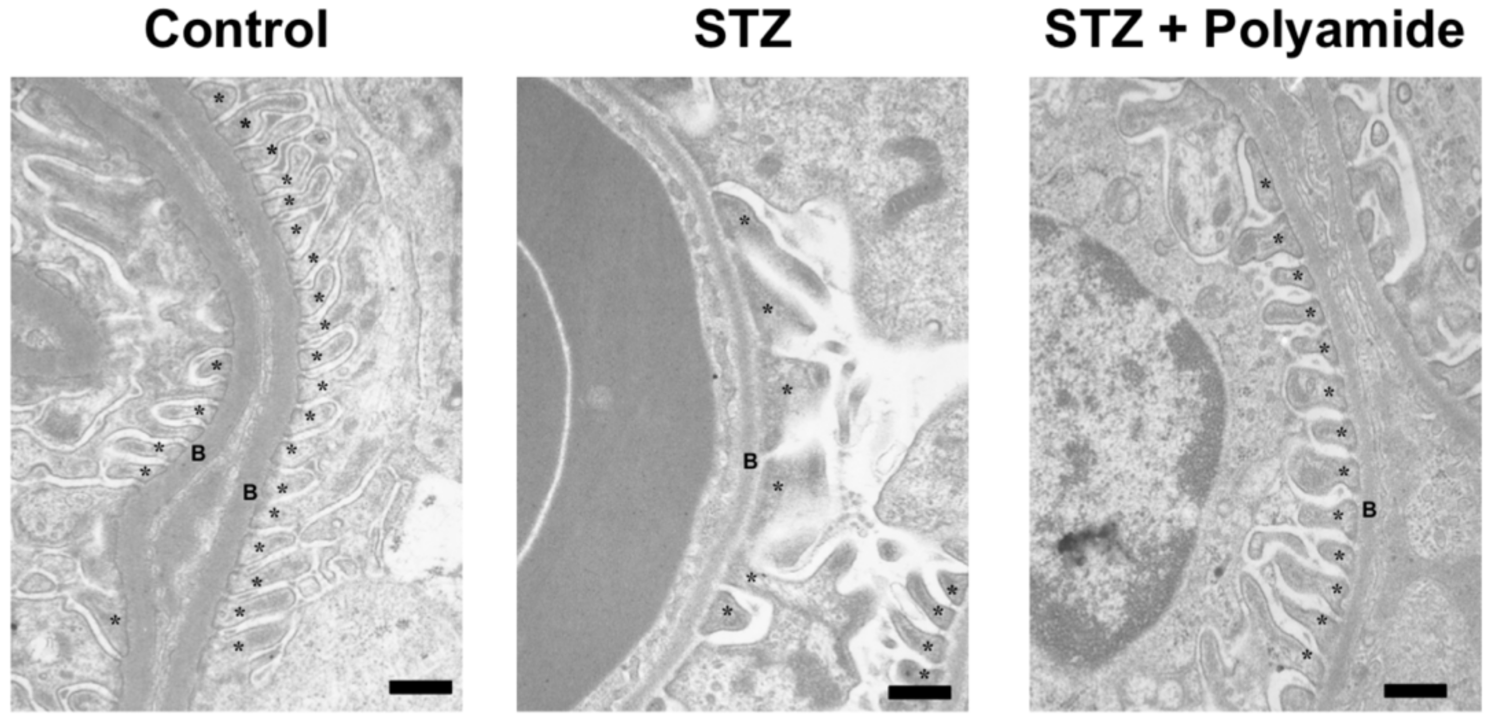 Molecules 25 00950 g008 Molecules 25 00950 g008