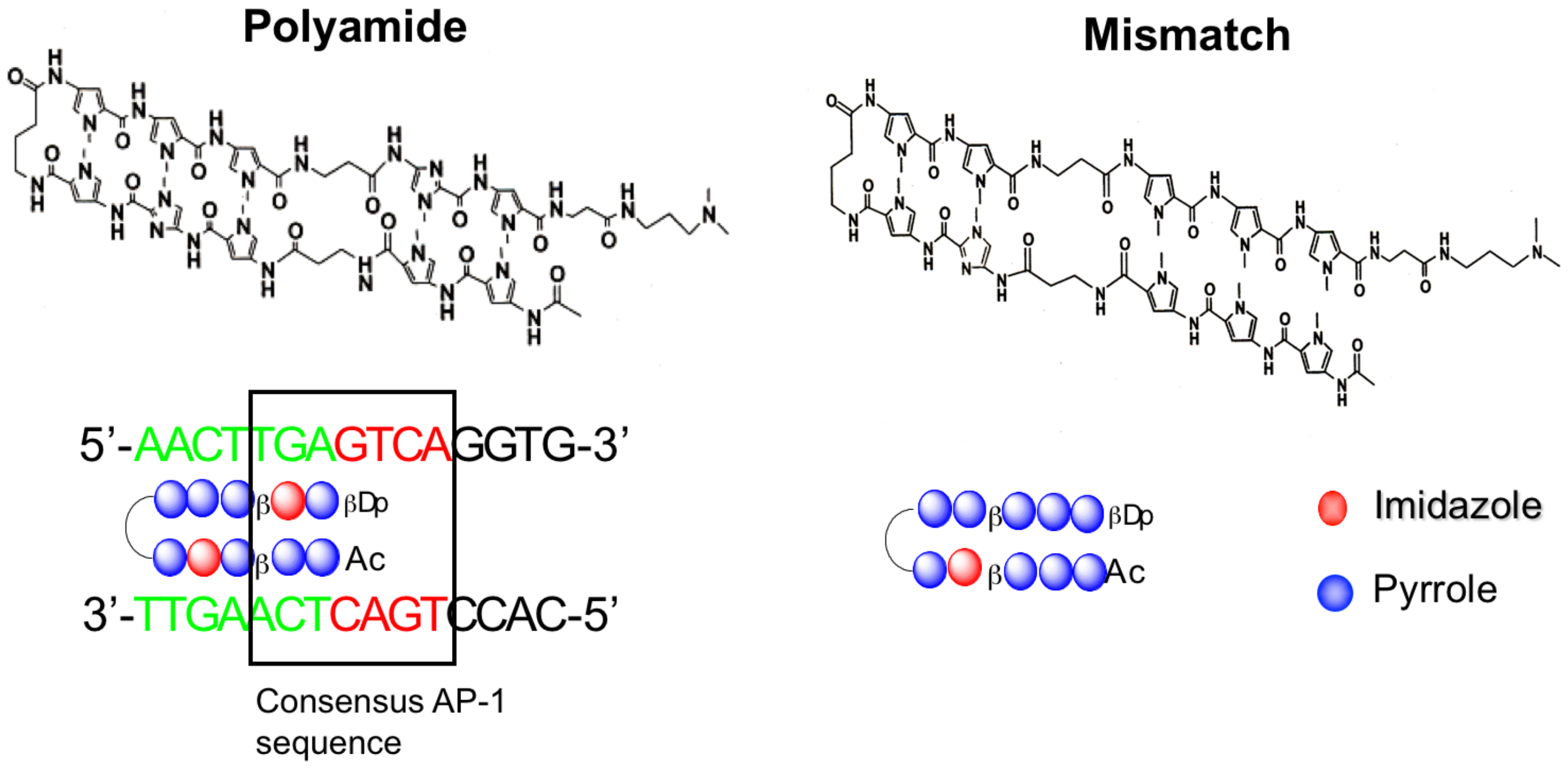 Molecules 25 00950 g009 Molecules 25 00950 g009