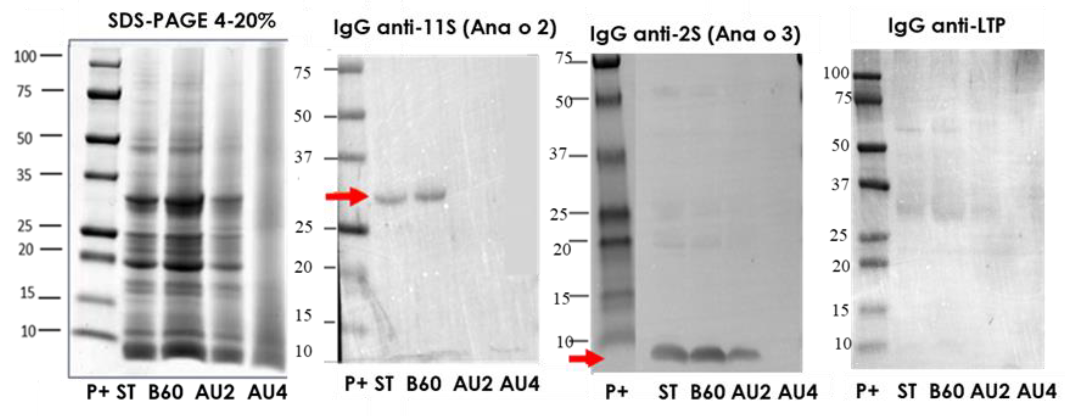 Molecules 25 00954 g001 Molecules 25 00954 g001