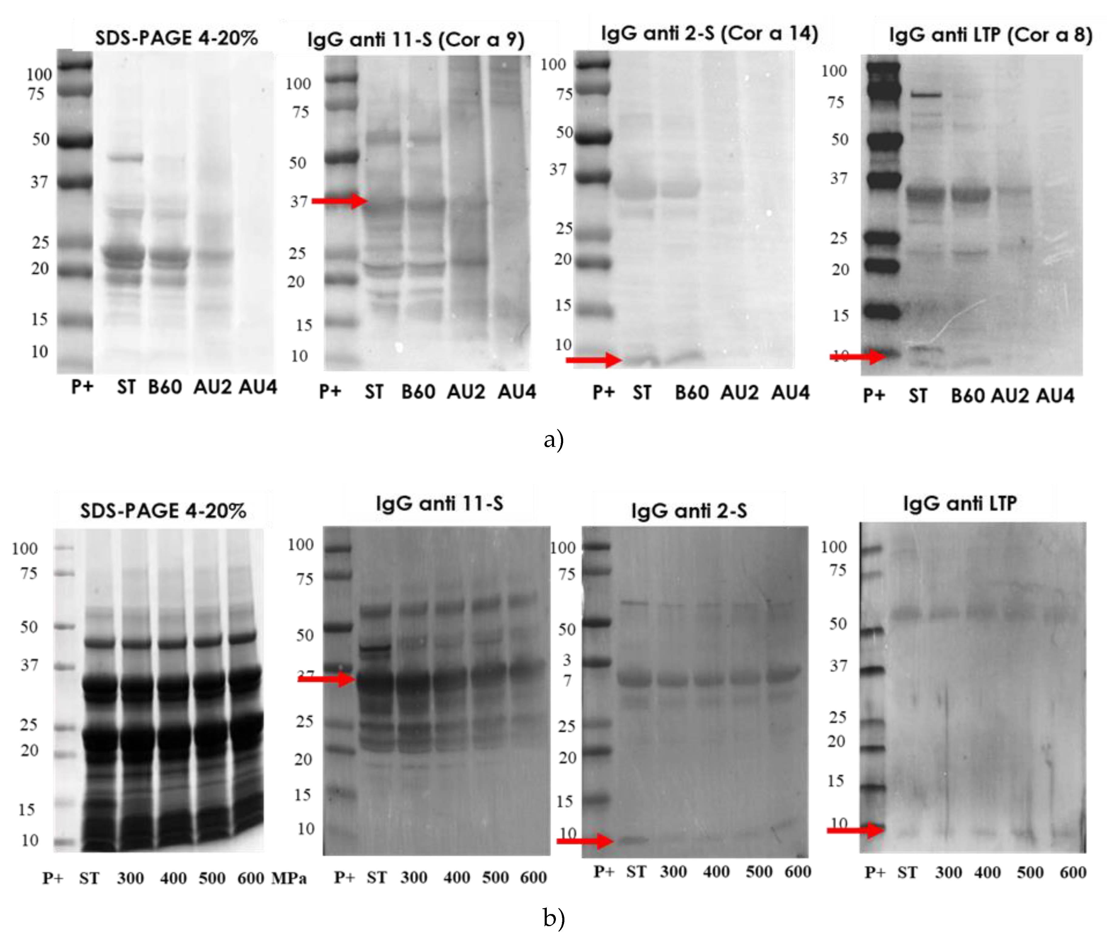 Molecules 25 00954 g004 Molecules 25 00954 g004
