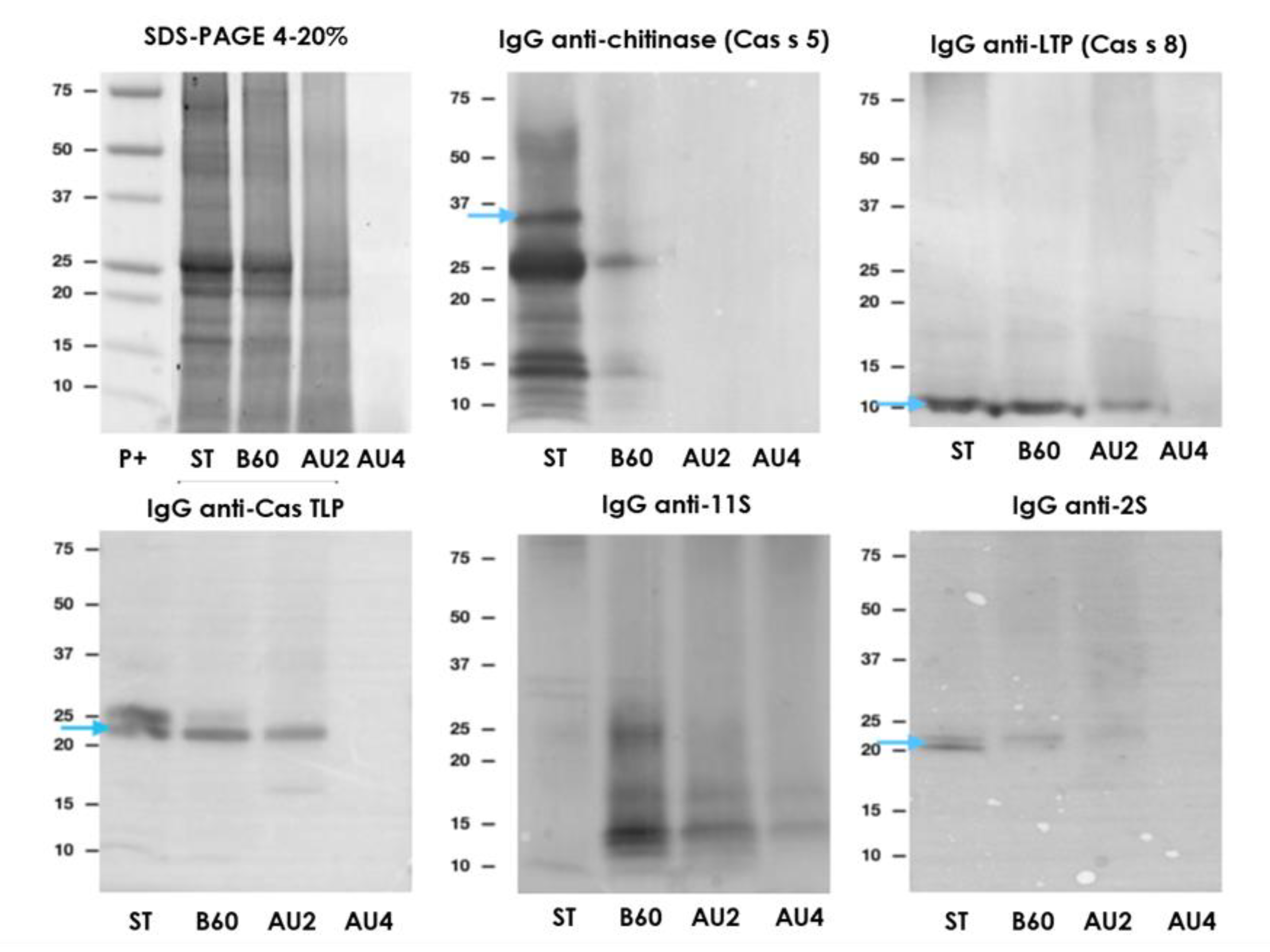 Molecules 25 00954 g006 Molecules 25 00954 g006