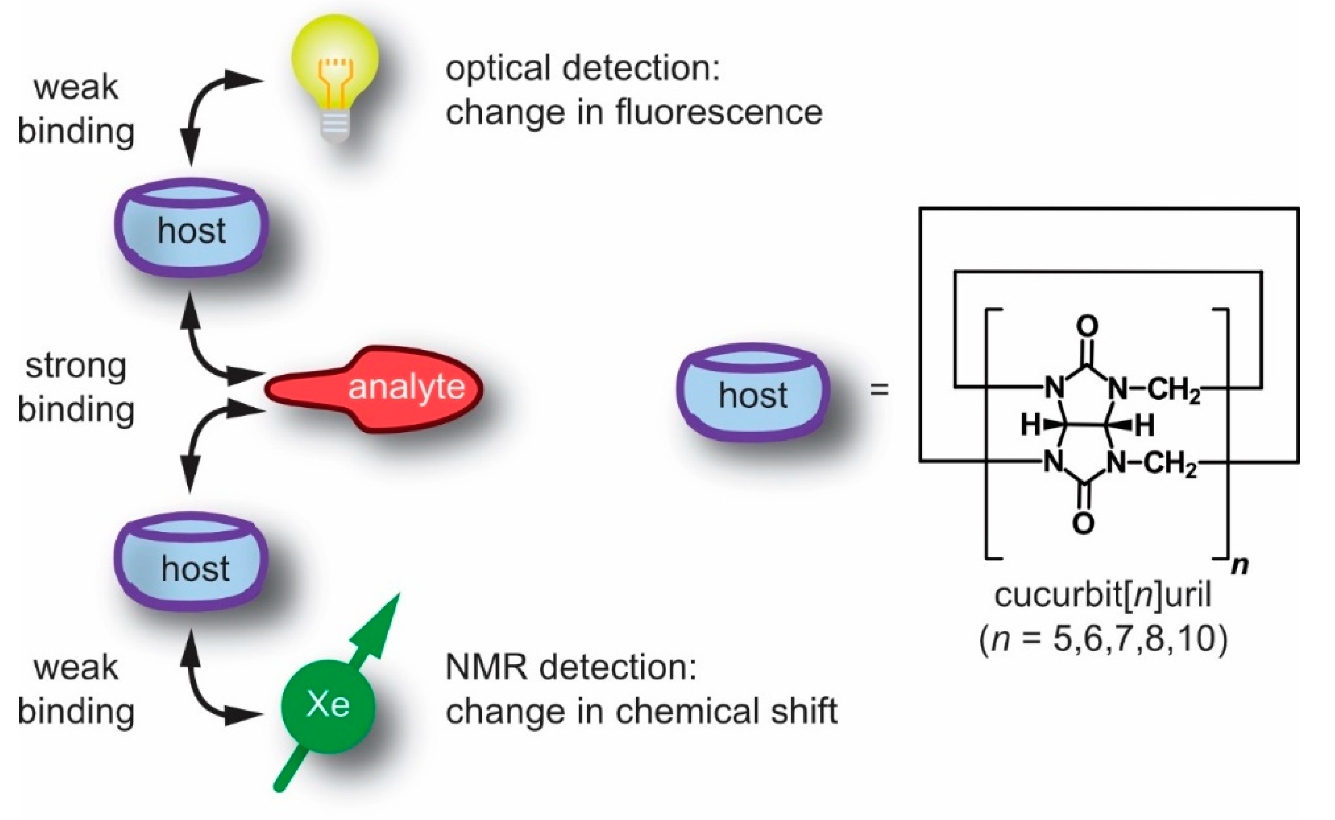 Molecules 25 00957 g001