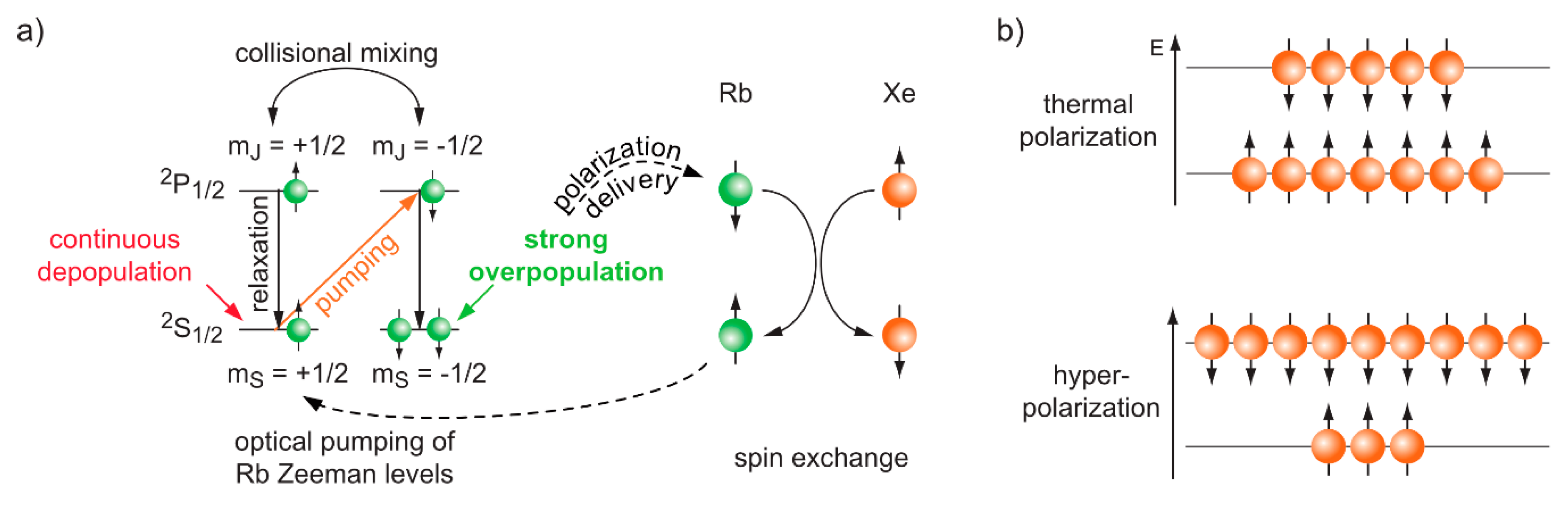 Molecules 25 00957 g003