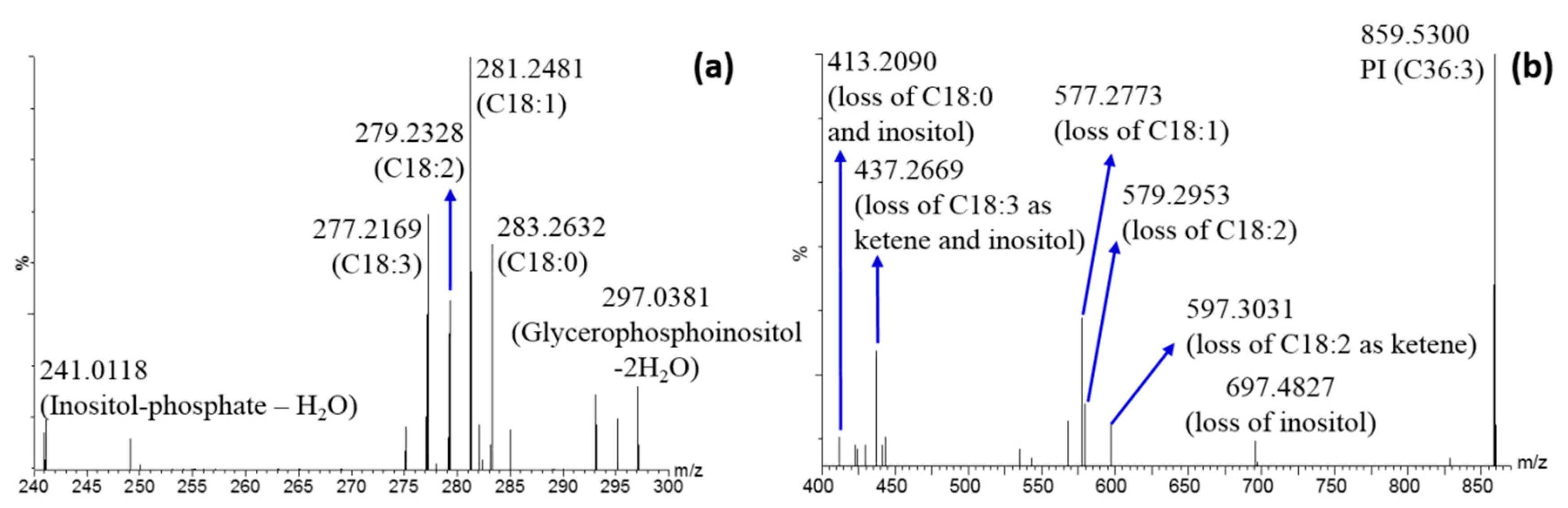 Molecules 25 00962 g005
