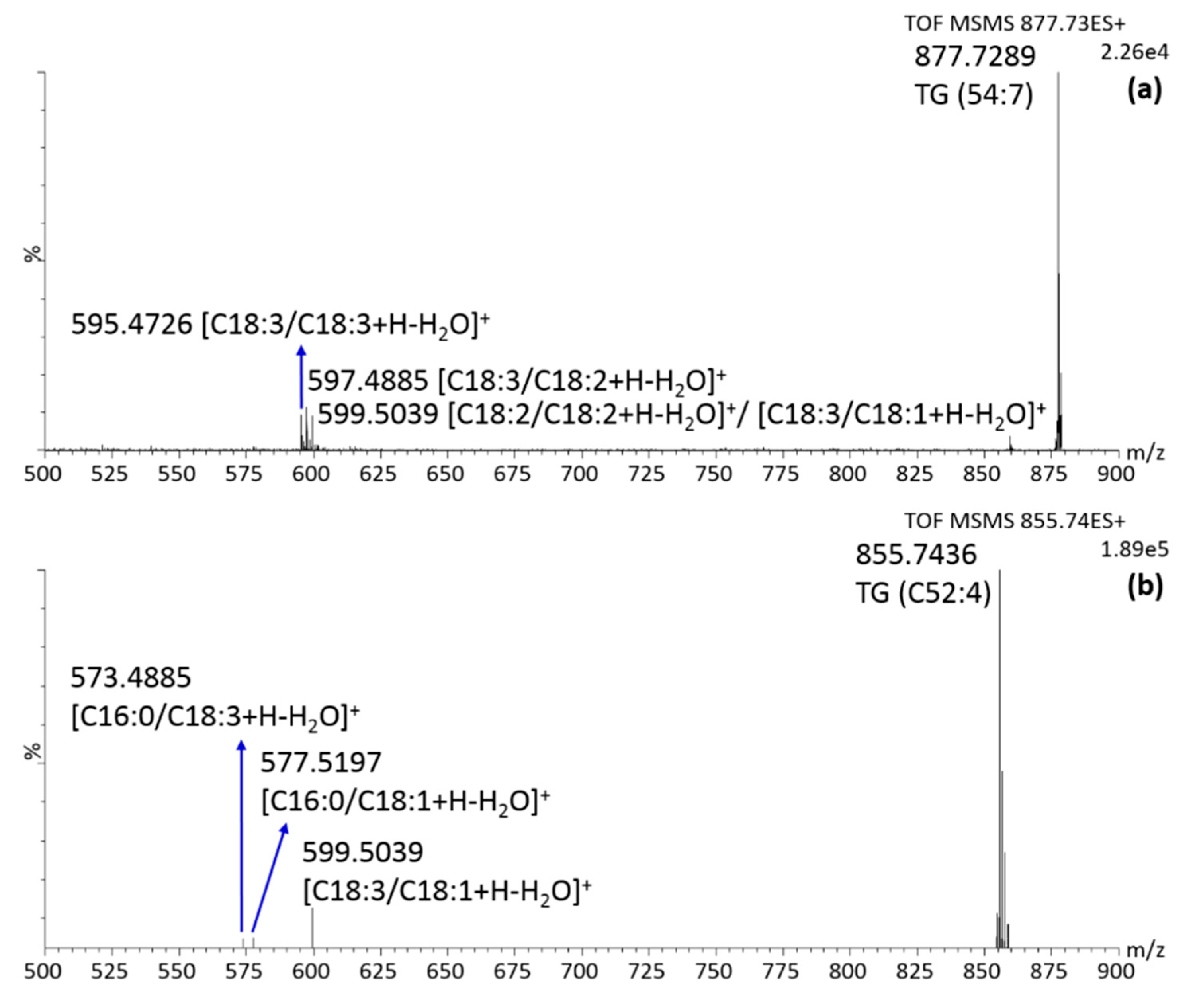 Molecules 25 00962 g006