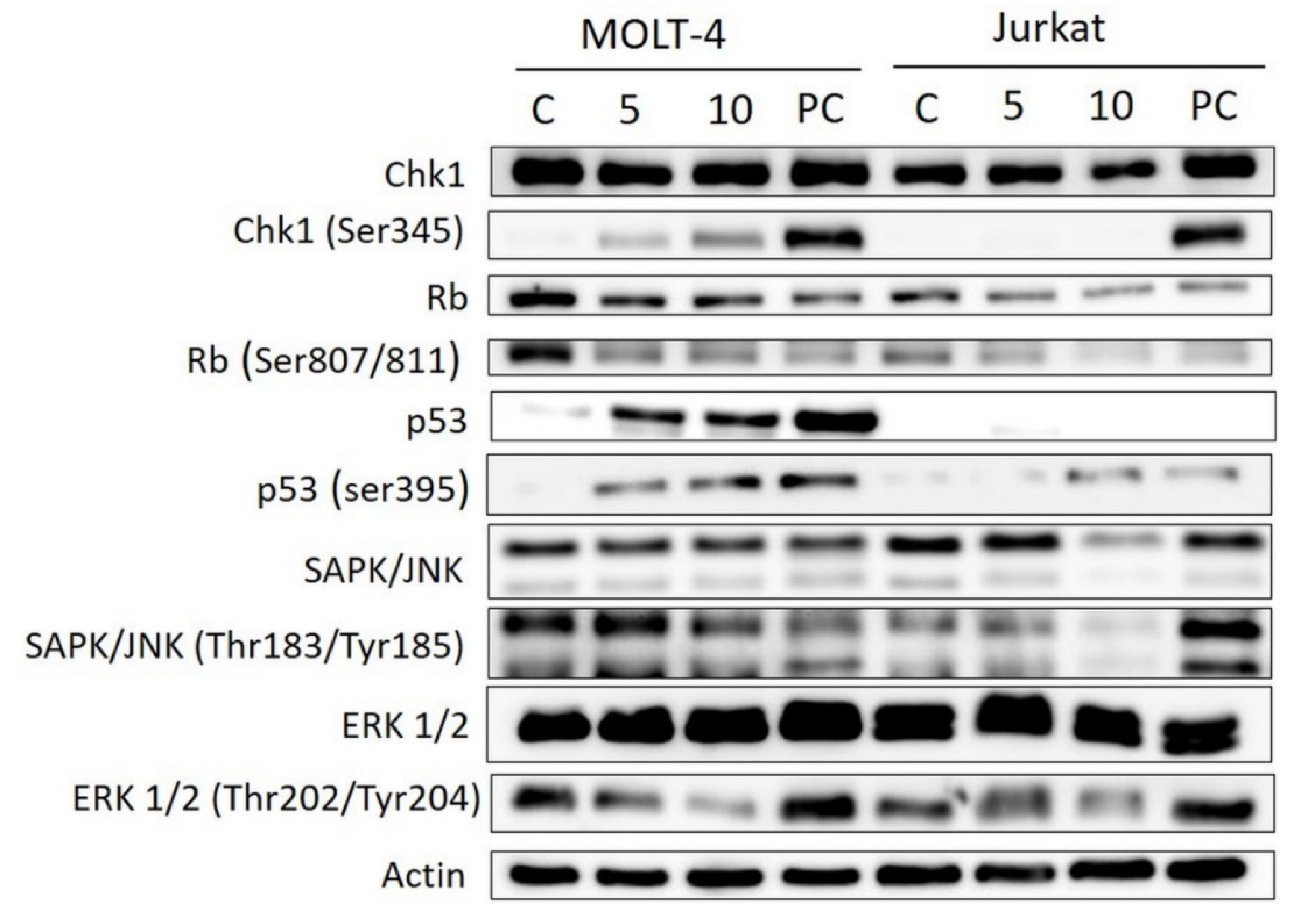 Molecules 25 00964 g007