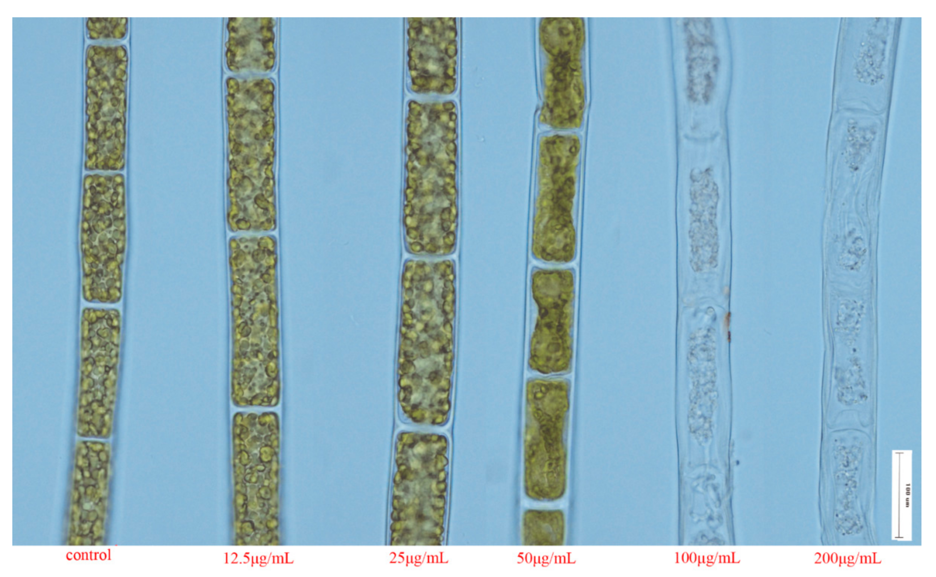 Molecules 25 00967 g003