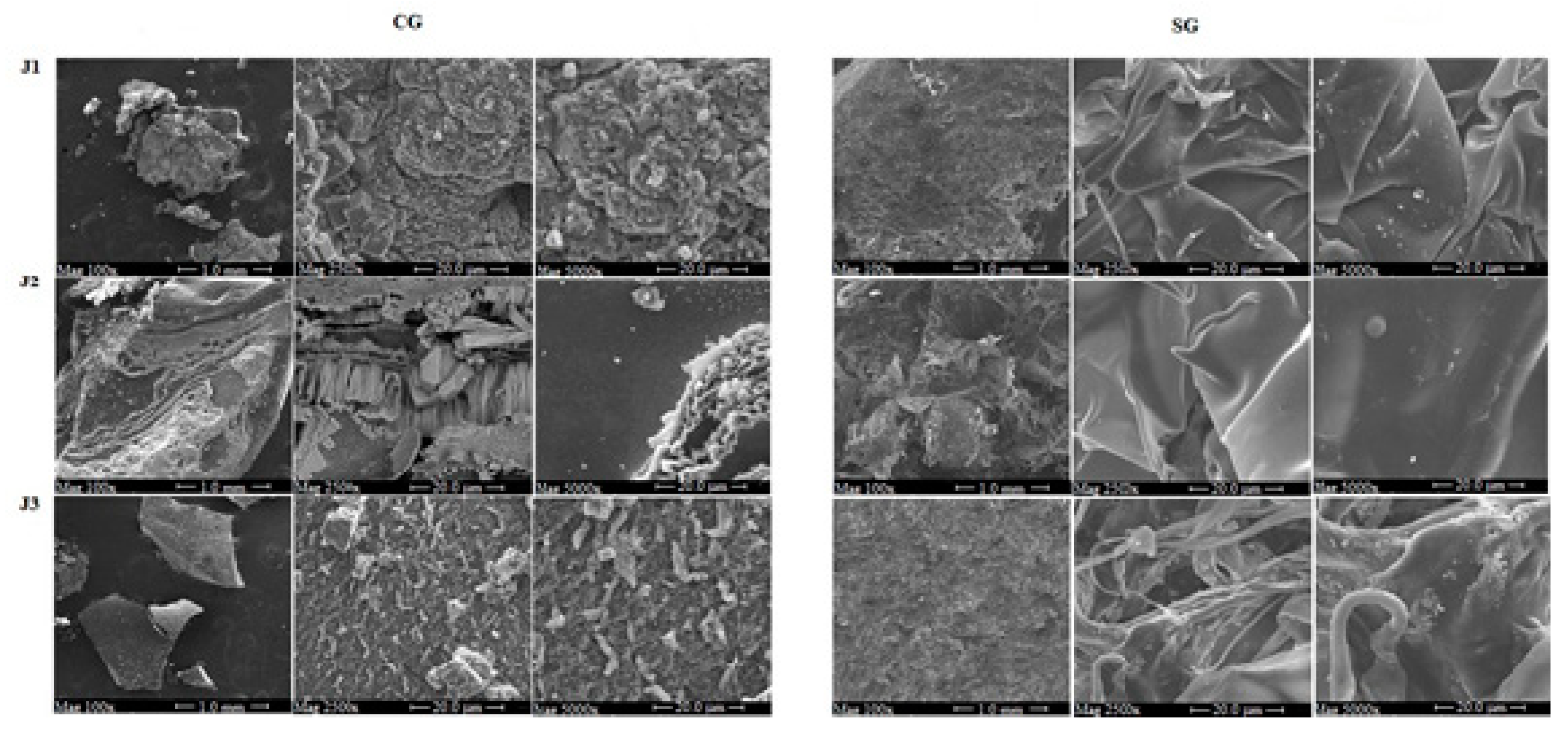 Molecules 25 00968 g005