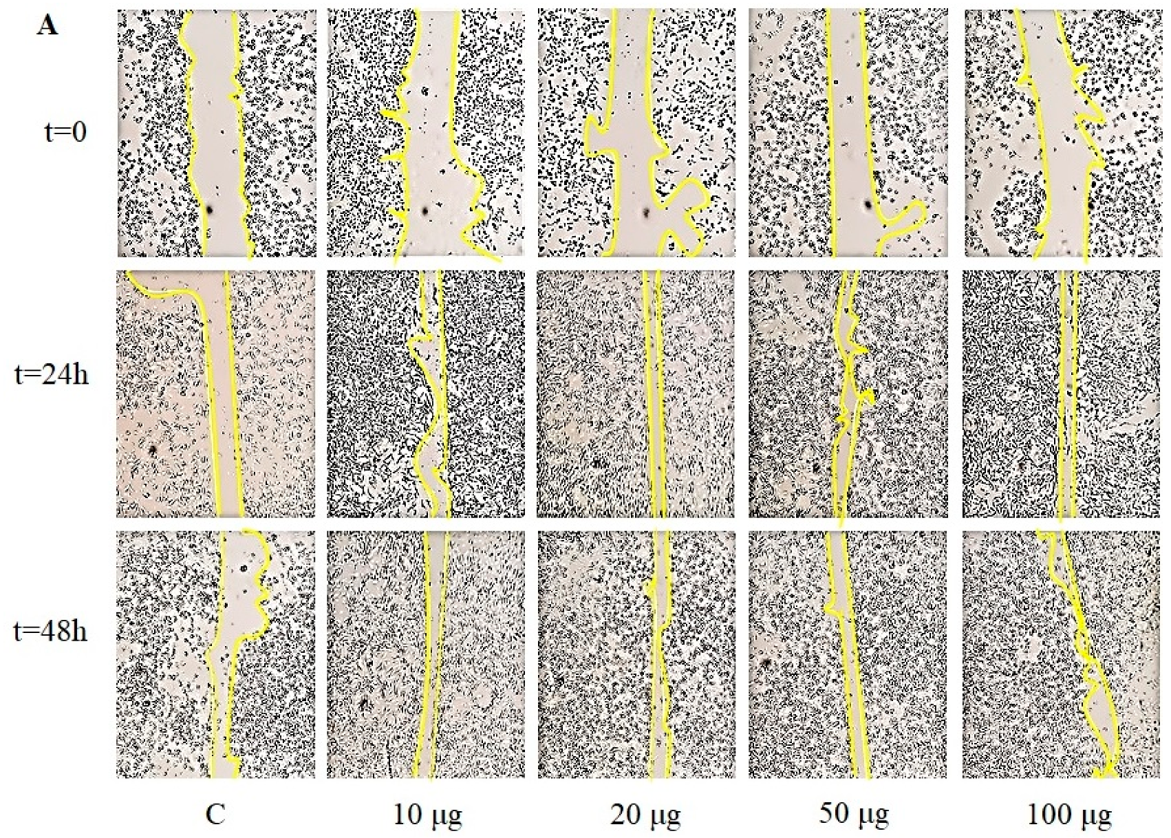 Molecules 25 00968 g008a