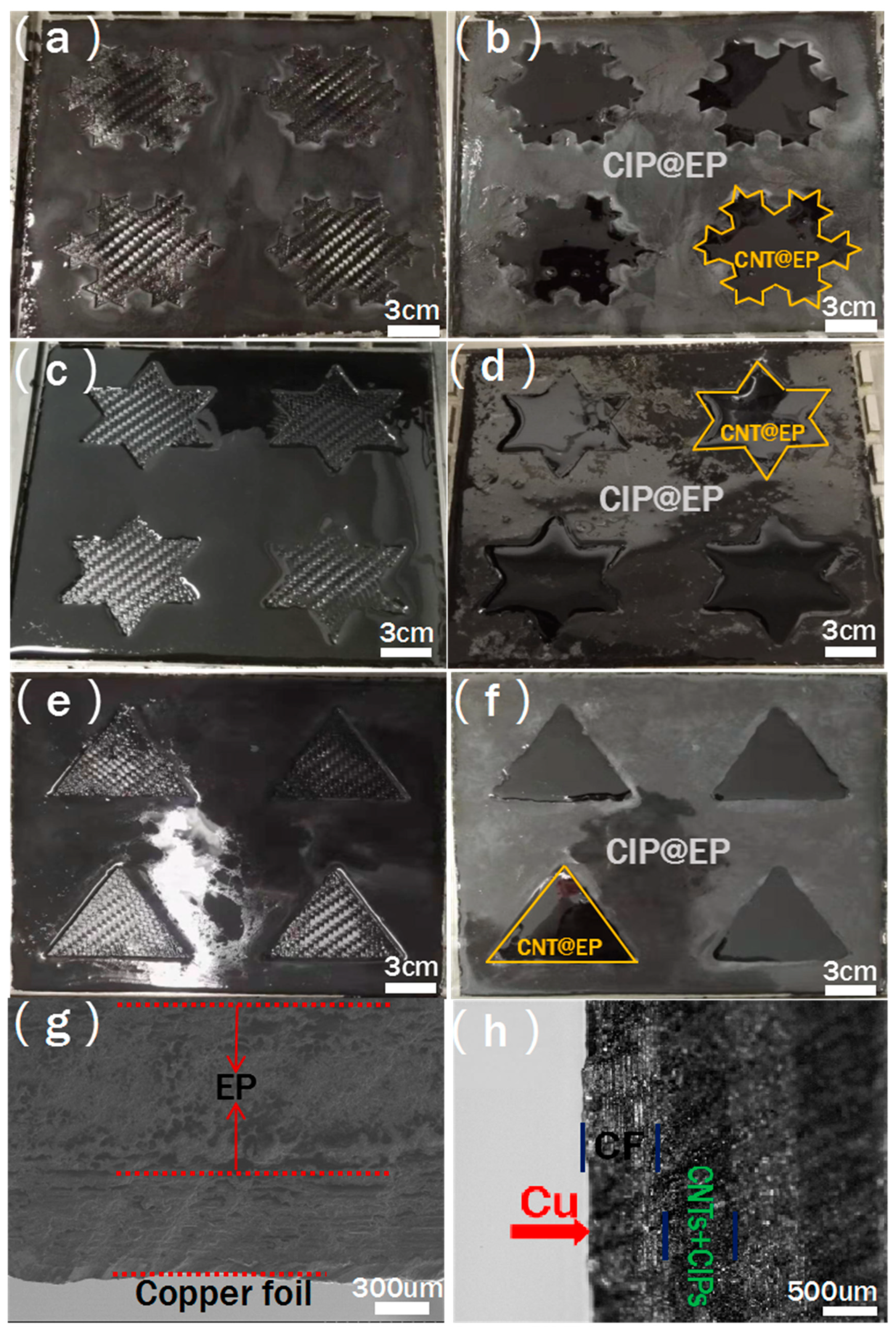 Molecules 25 00969 g002