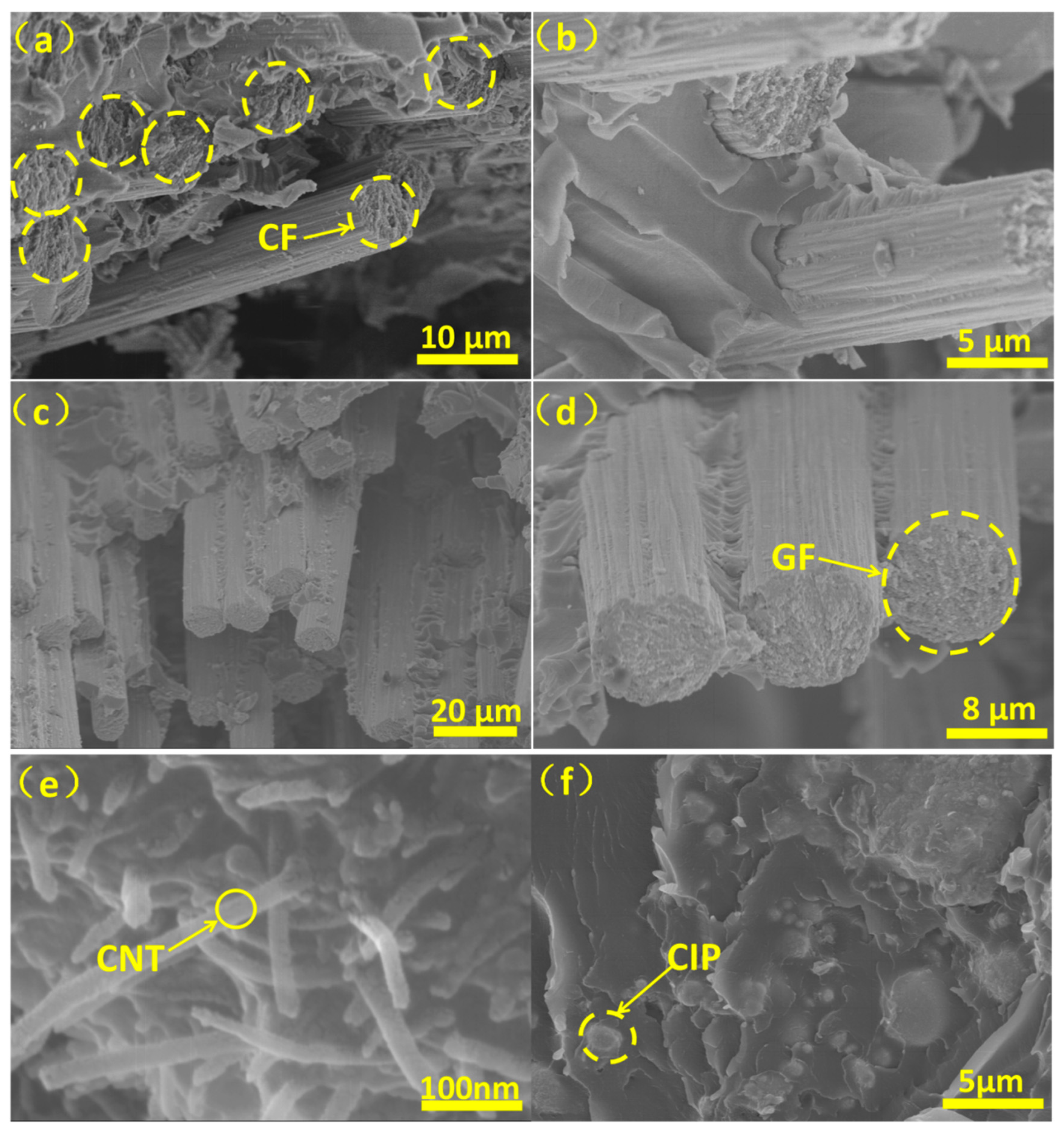 Molecules 25 00969 g003