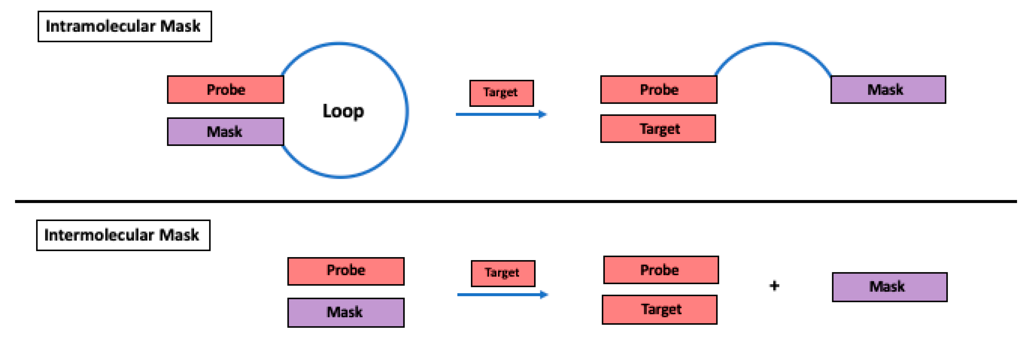 Molecules 25 00970 sch001