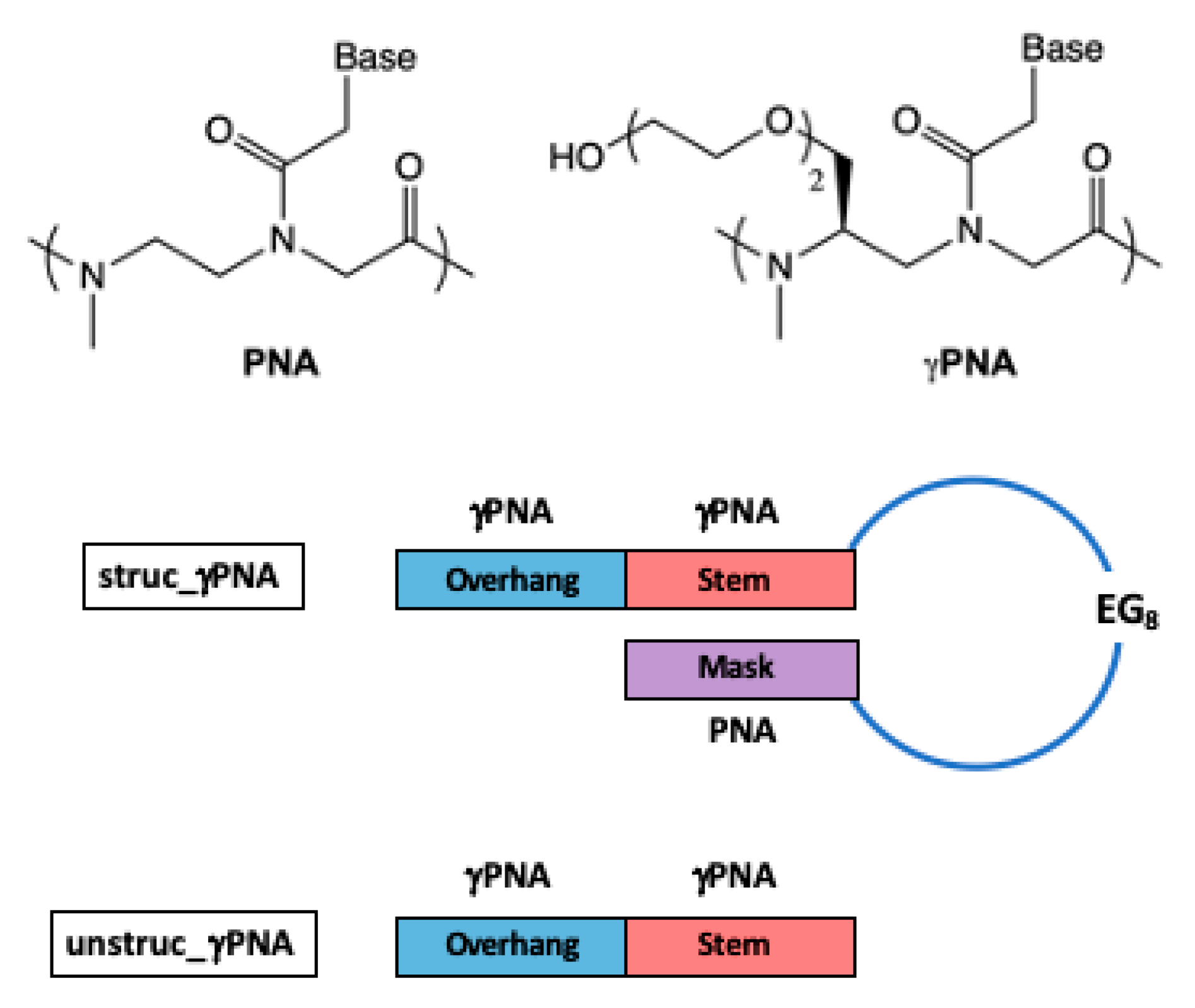 Molecules 25 00970 sch002