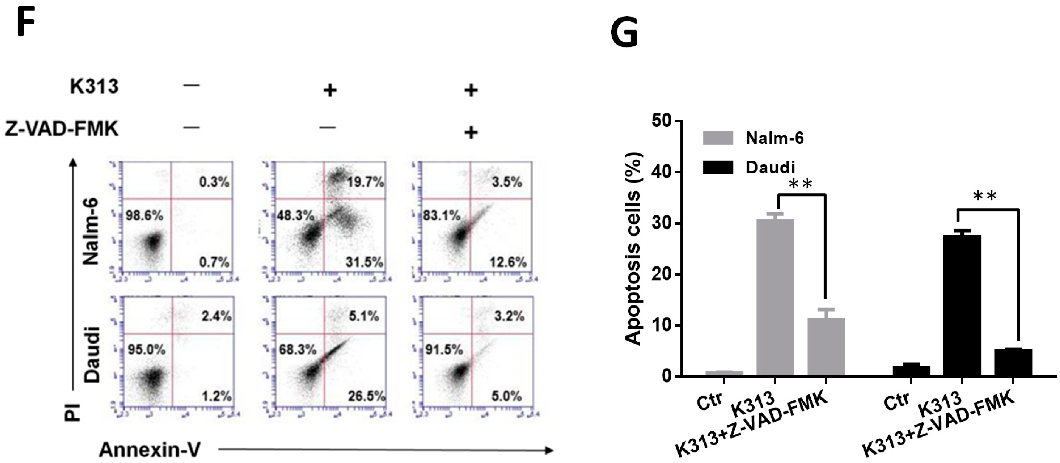 Molecules 25 00971 g003b