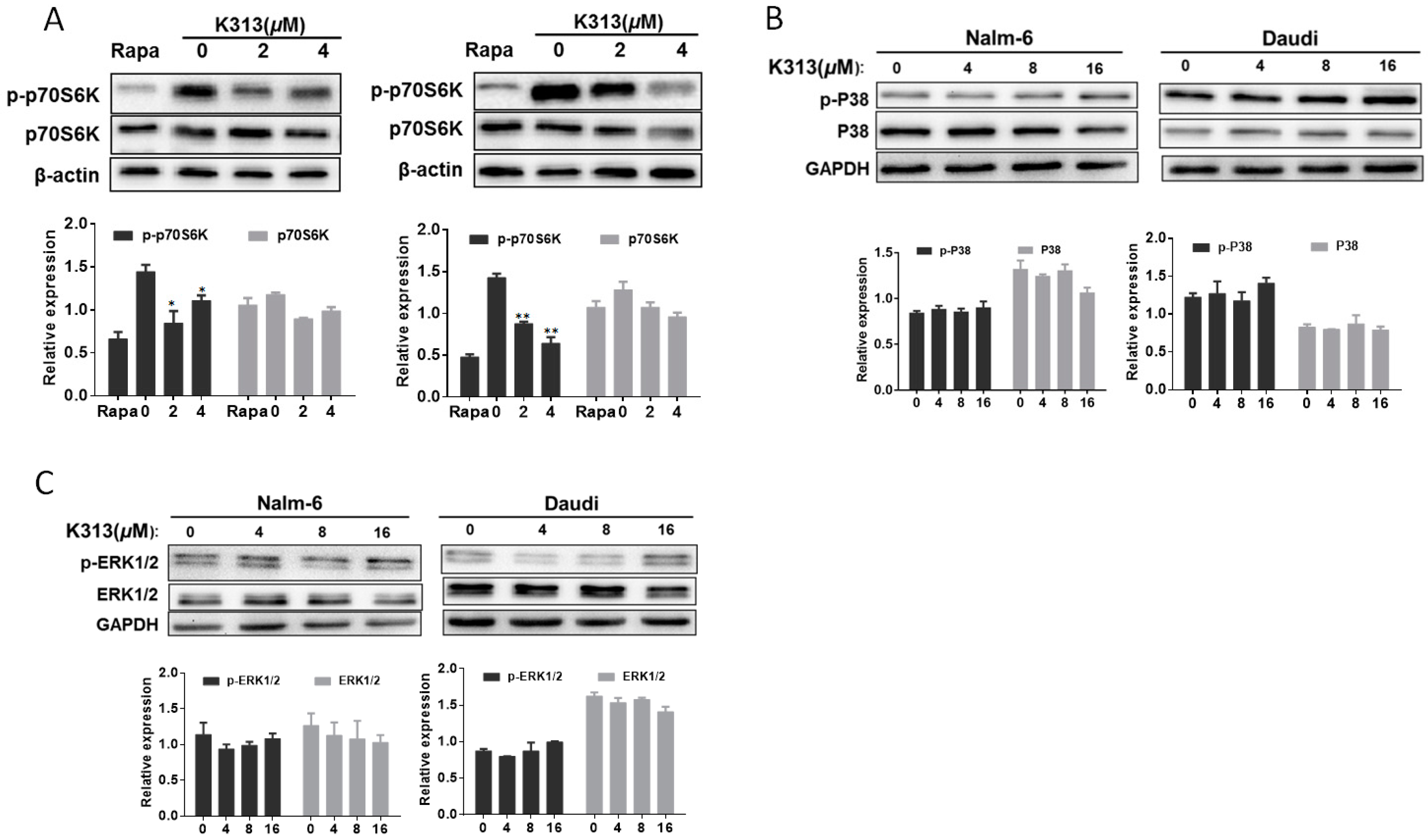Molecules 25 00971 g005
