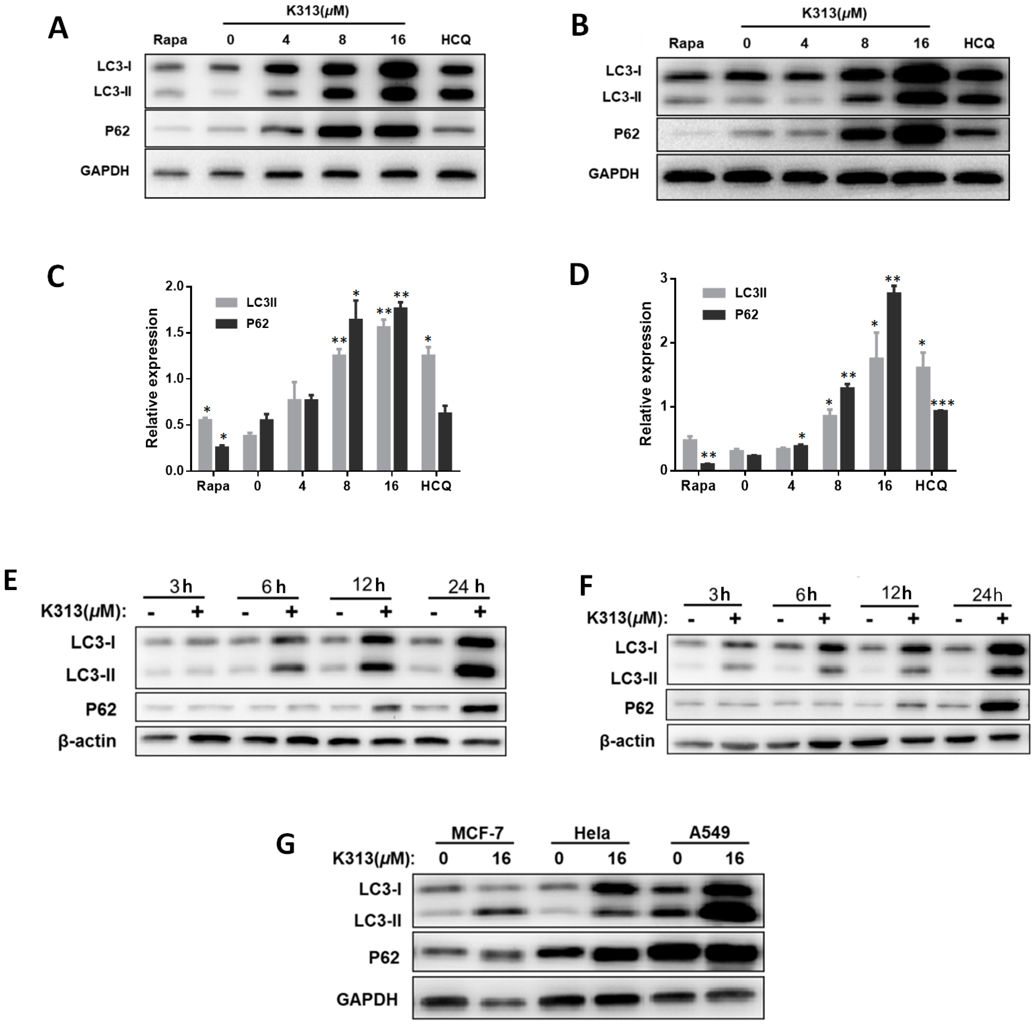 Molecules 25 00971 g006