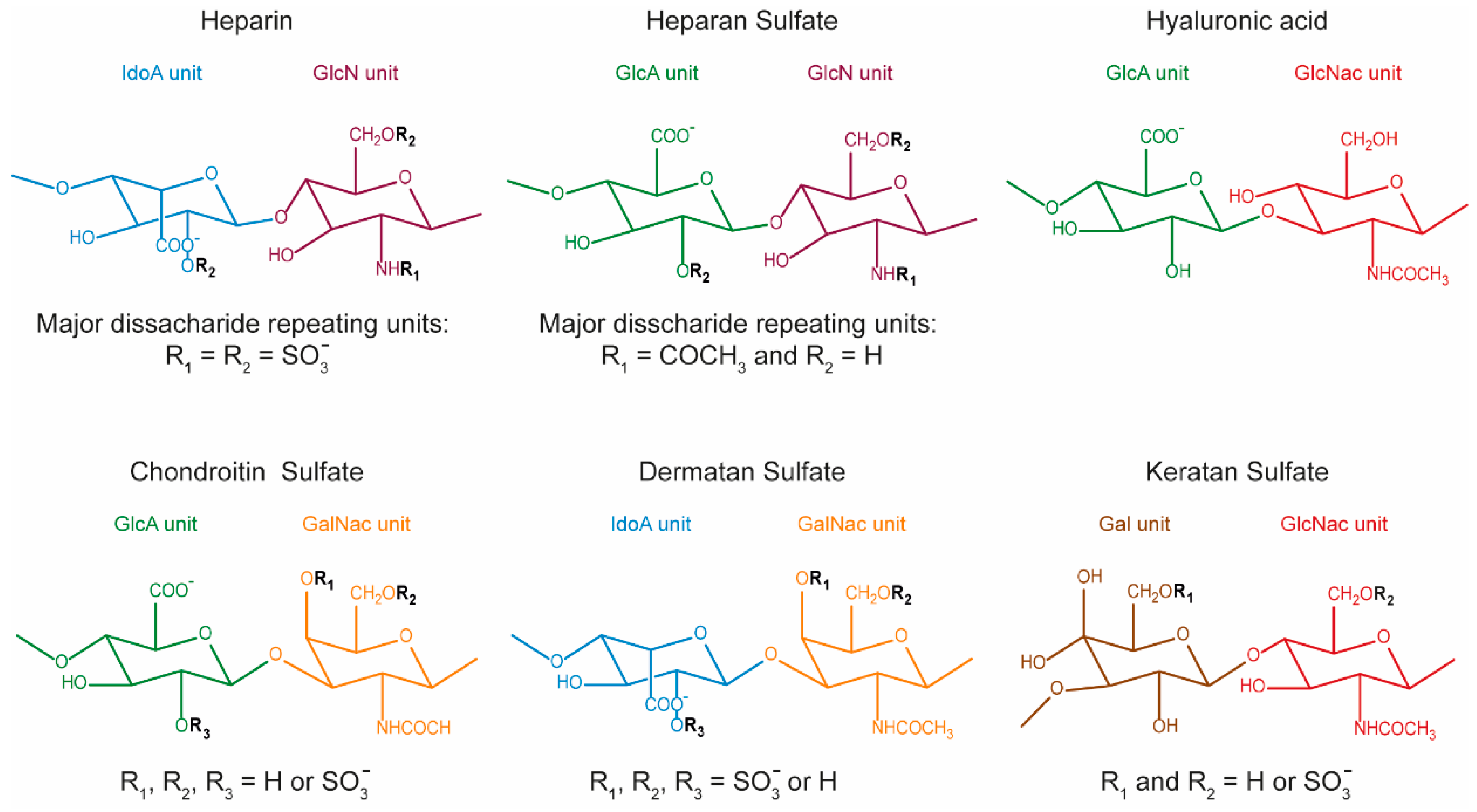 Molecules 25 00978 g001