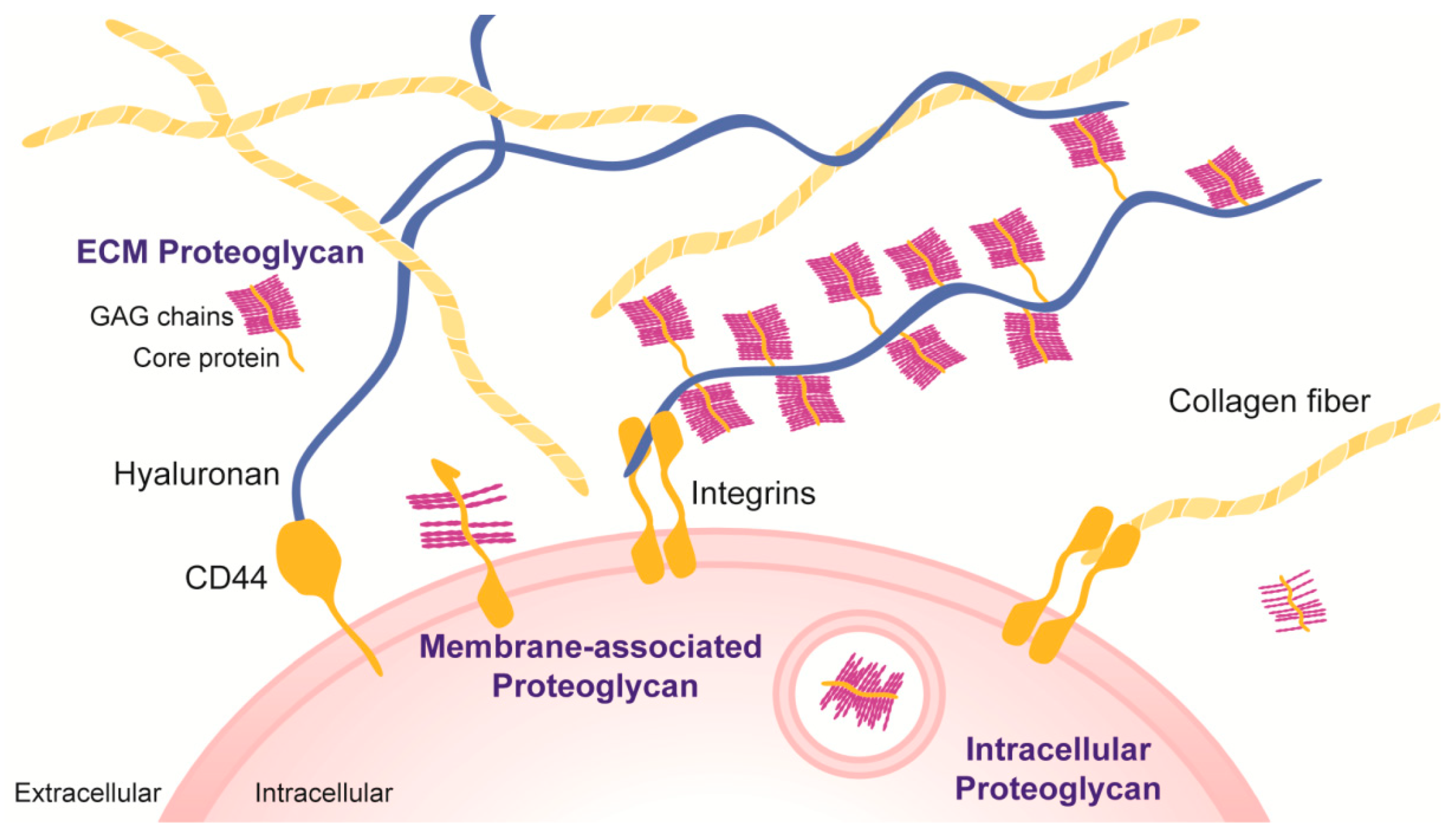Molecules 25 00978 g002