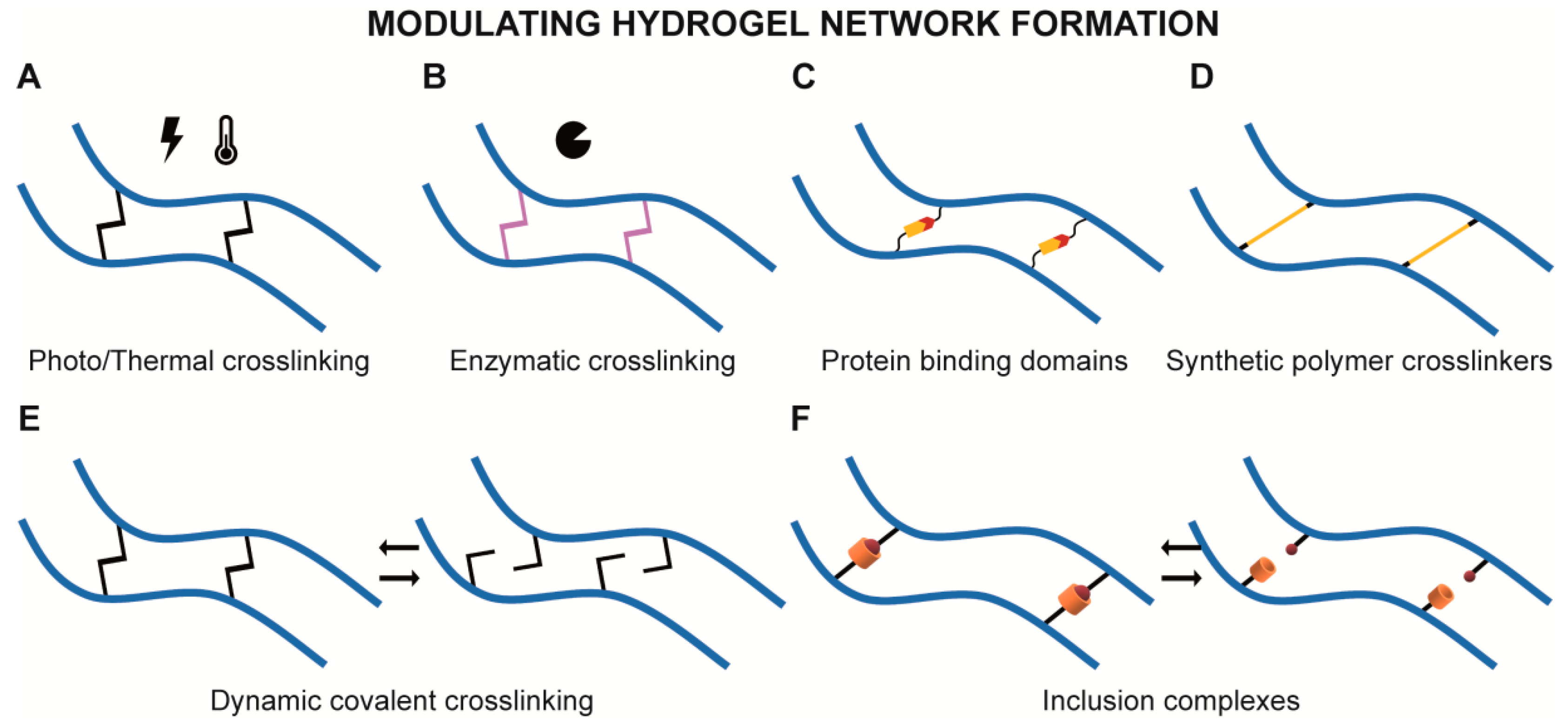 Molecules 25 00978 g003