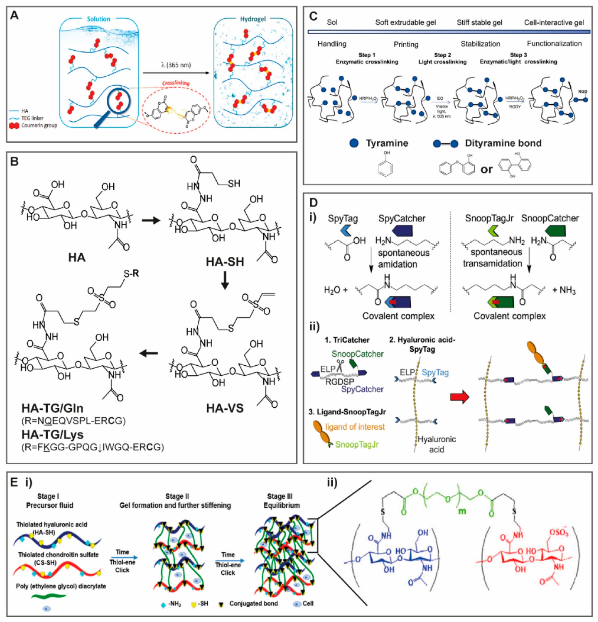 Molecules 25 00978 g004