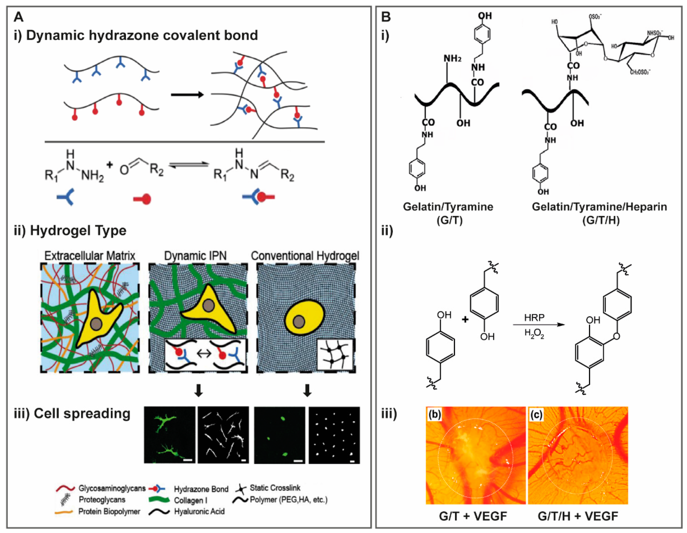 Molecules 25 00978 g007