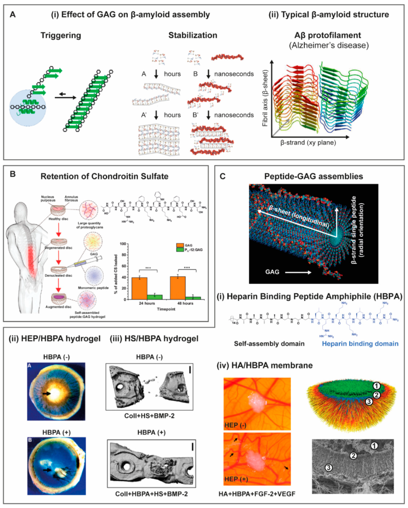Molecules 25 00978 g008