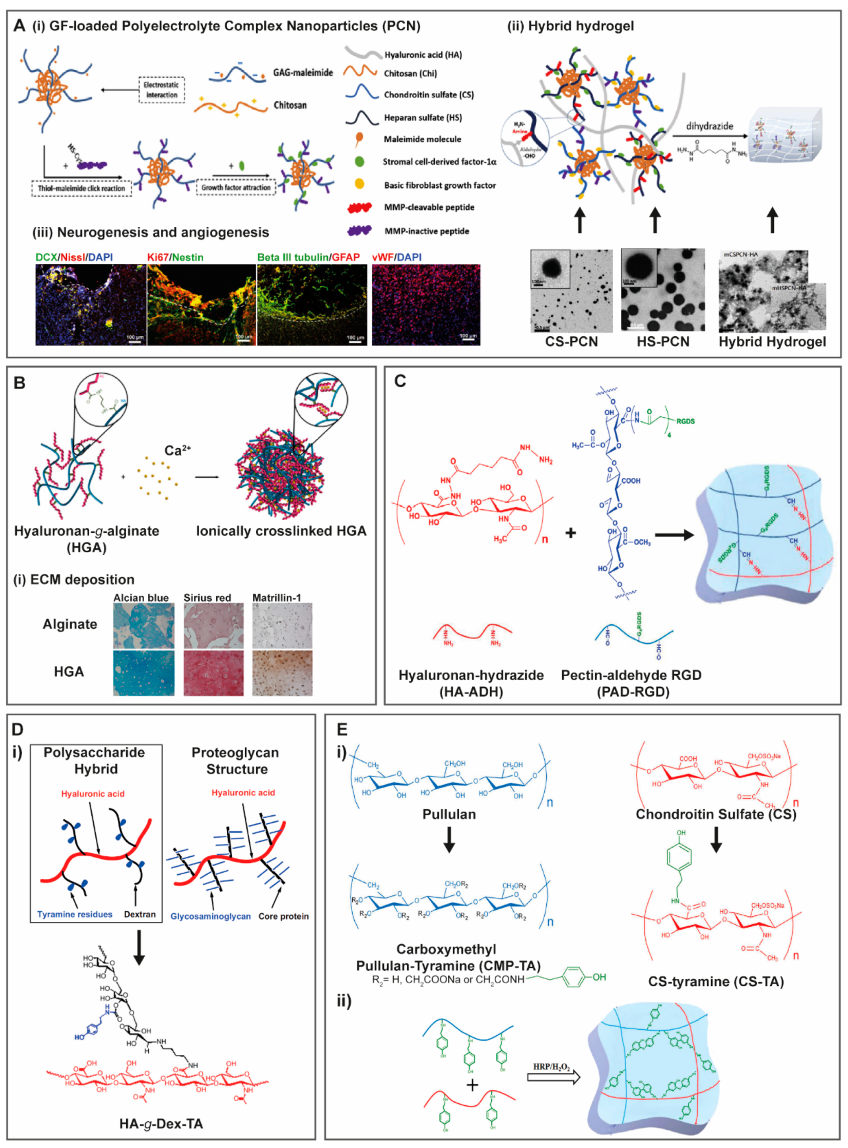 Molecules 25 00978 g009