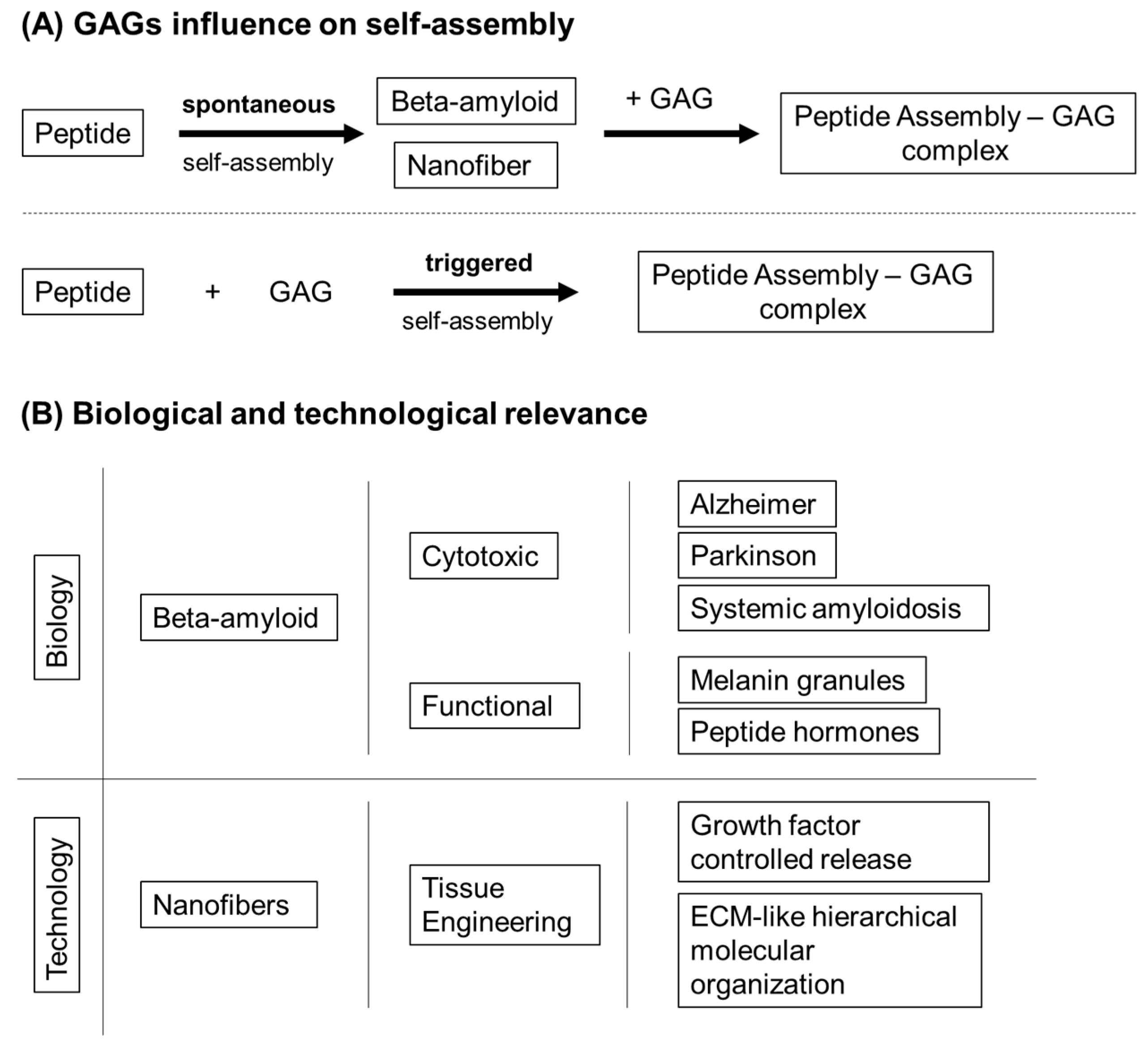 Molecules 25 00978 sch001