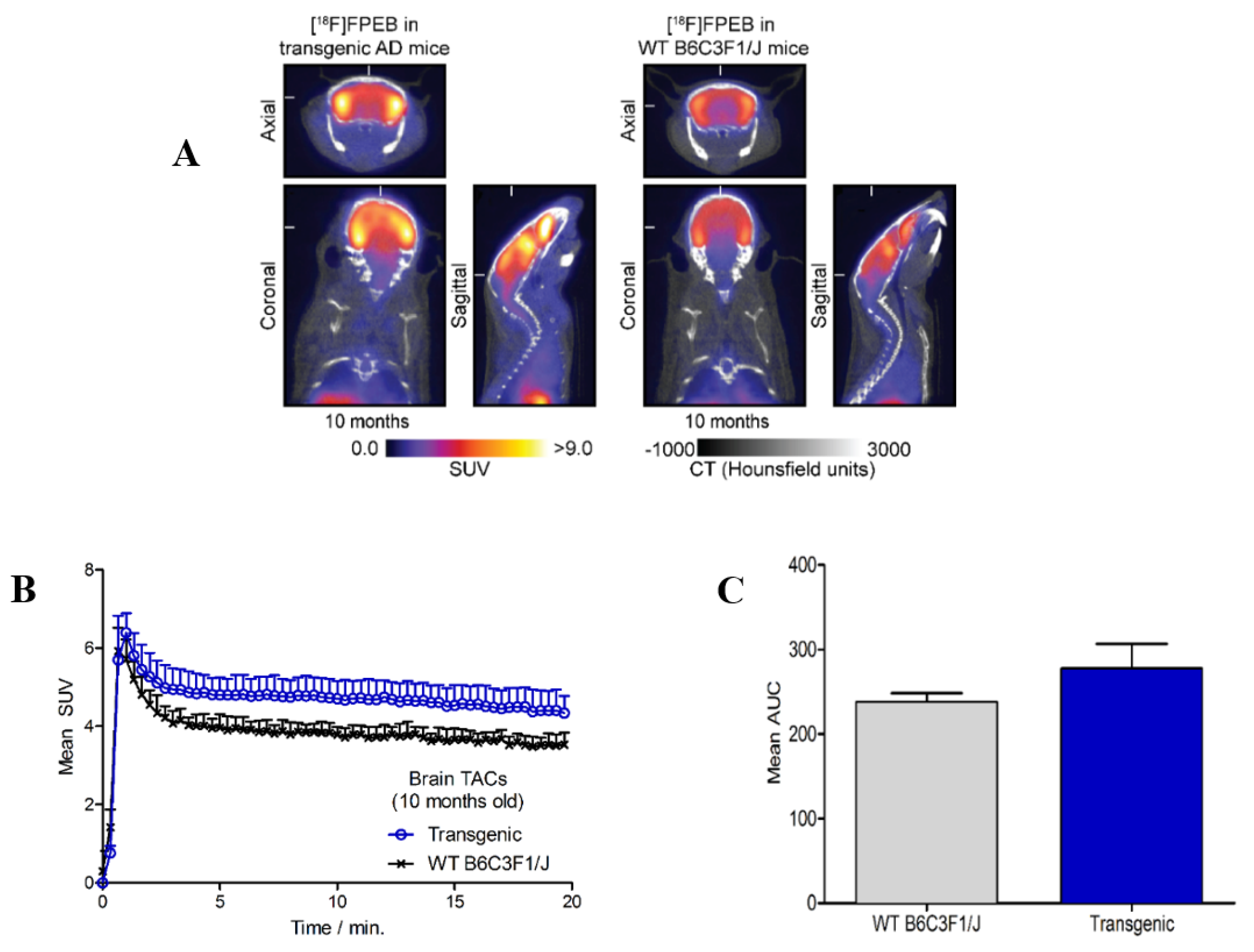 Molecules 25 00982 g001