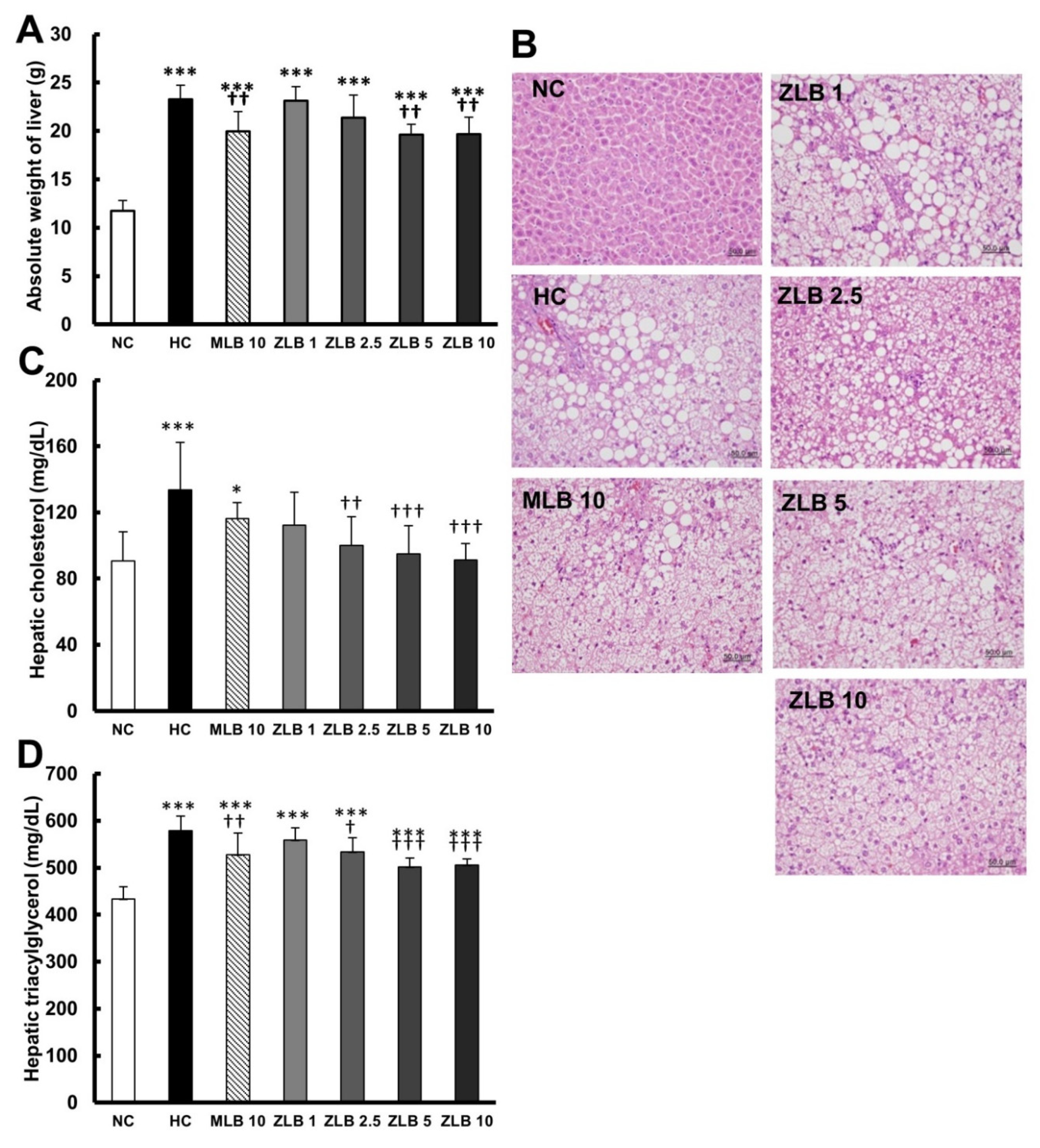 Molecules 25 00983 g004 Molecules 25 00983 g004