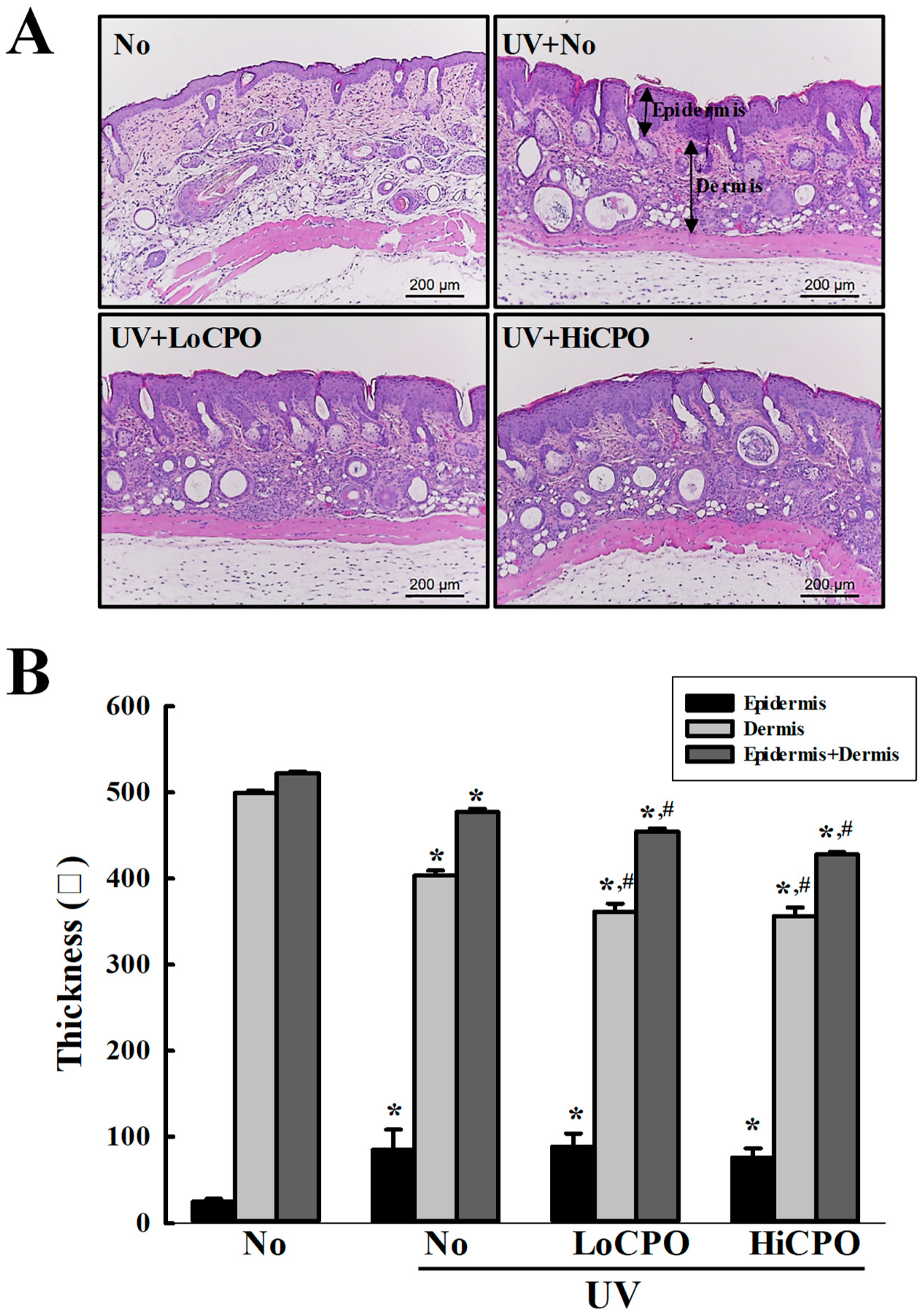 Molecules 25 00989 g008