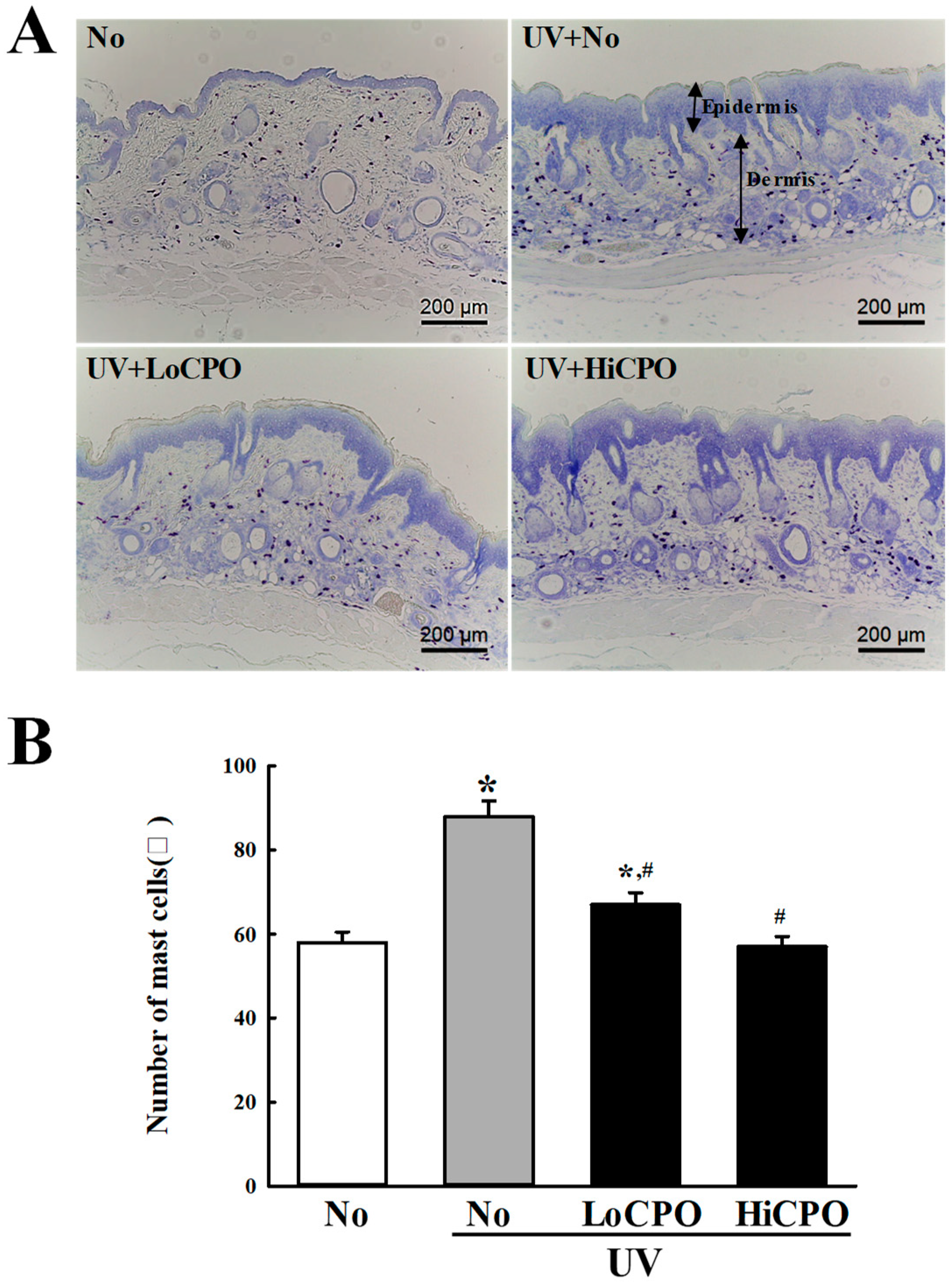 Molecules 25 00989 g010