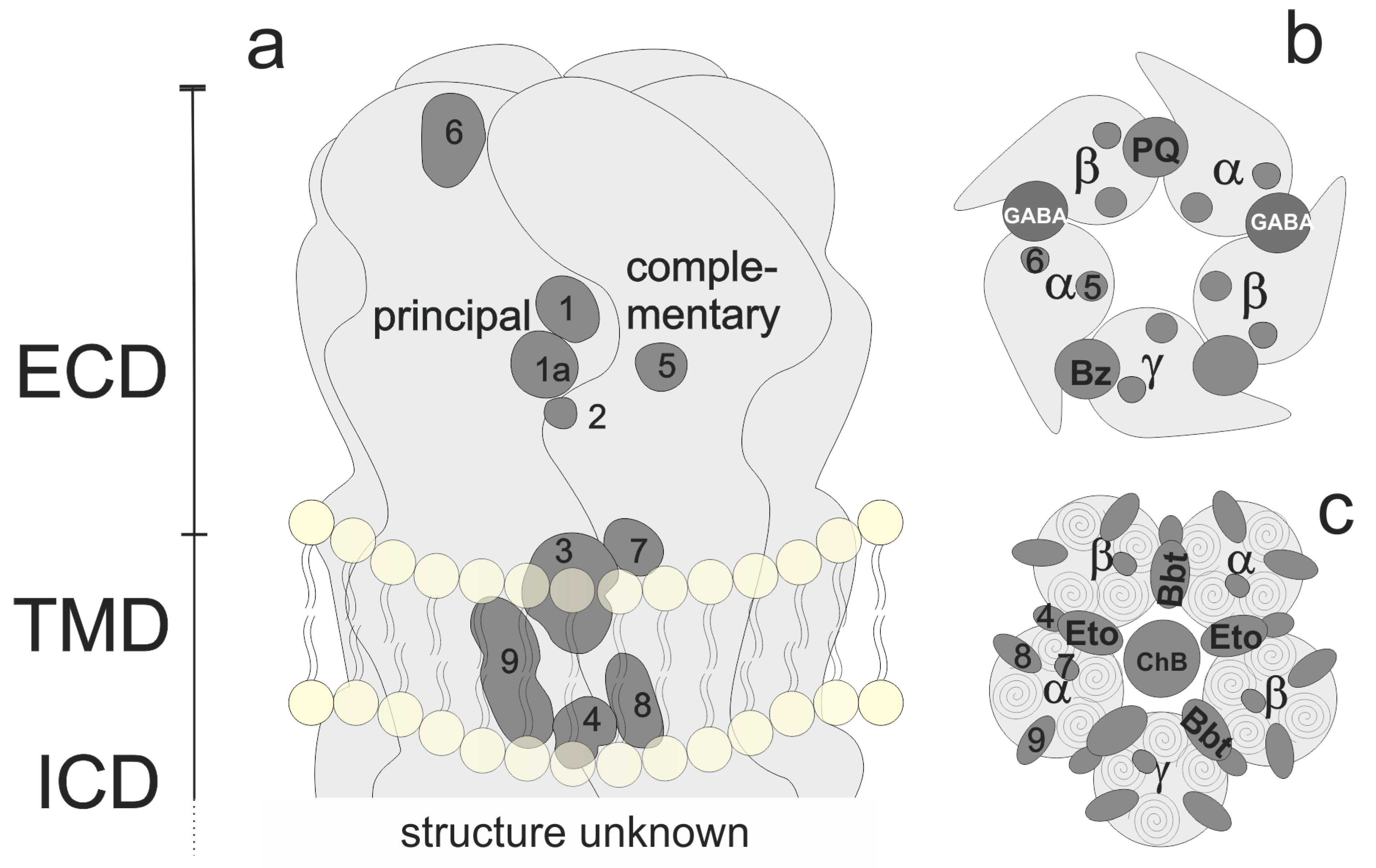 Molecules 25 00999 g001