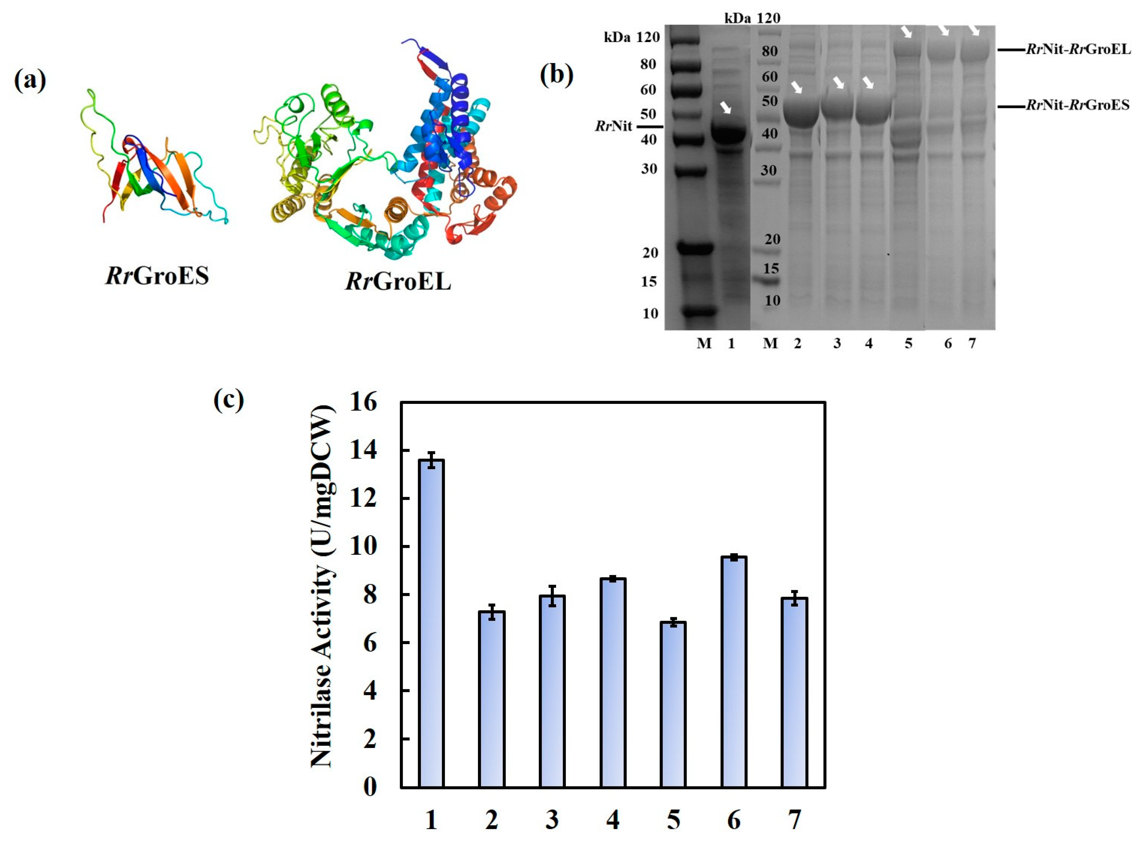 Molecules 25 01002 g002