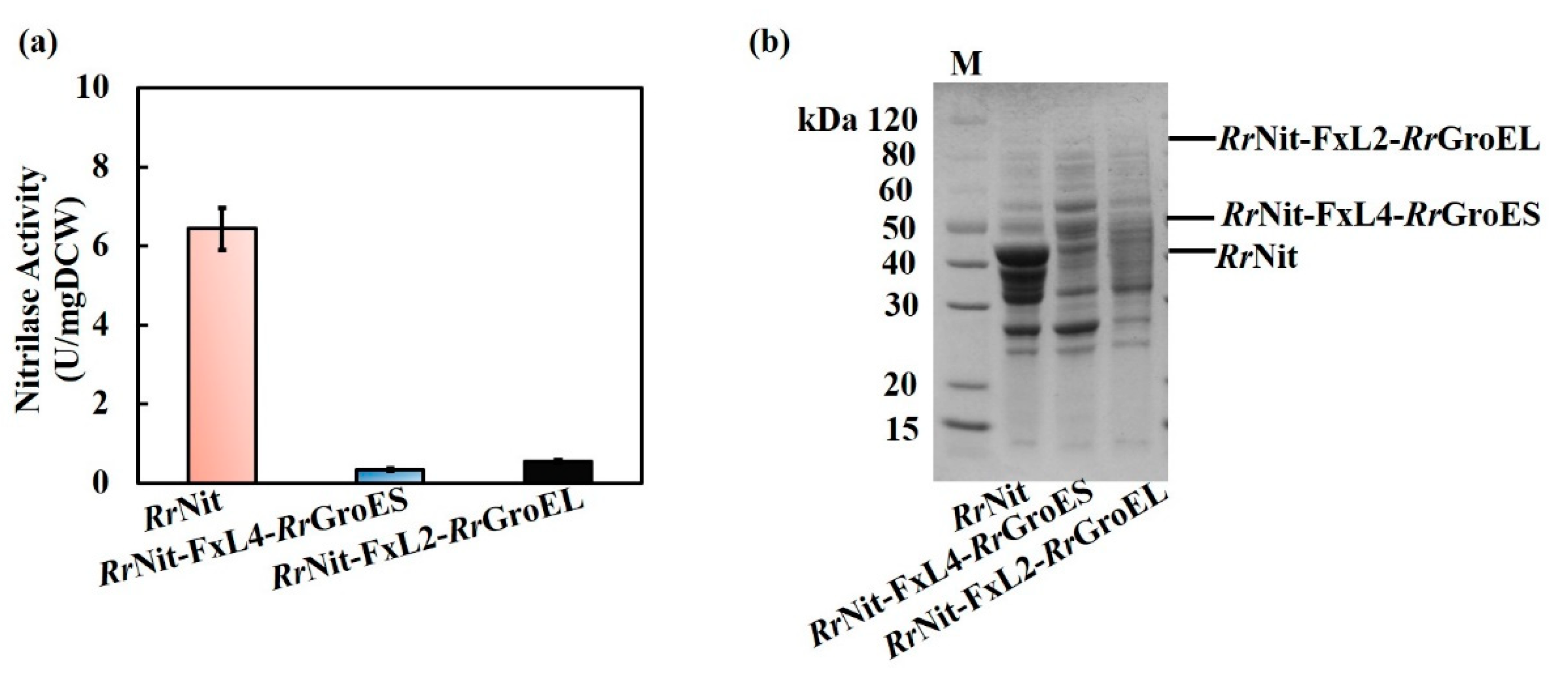 Molecules 25 01002 g004