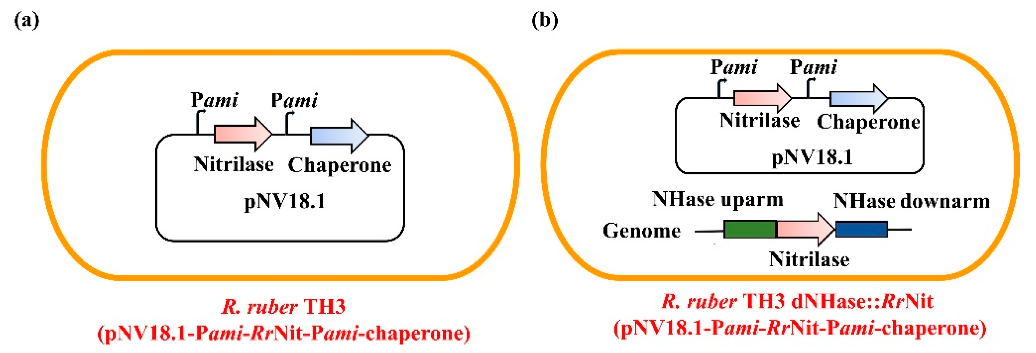 Molecules 25 01002 g005