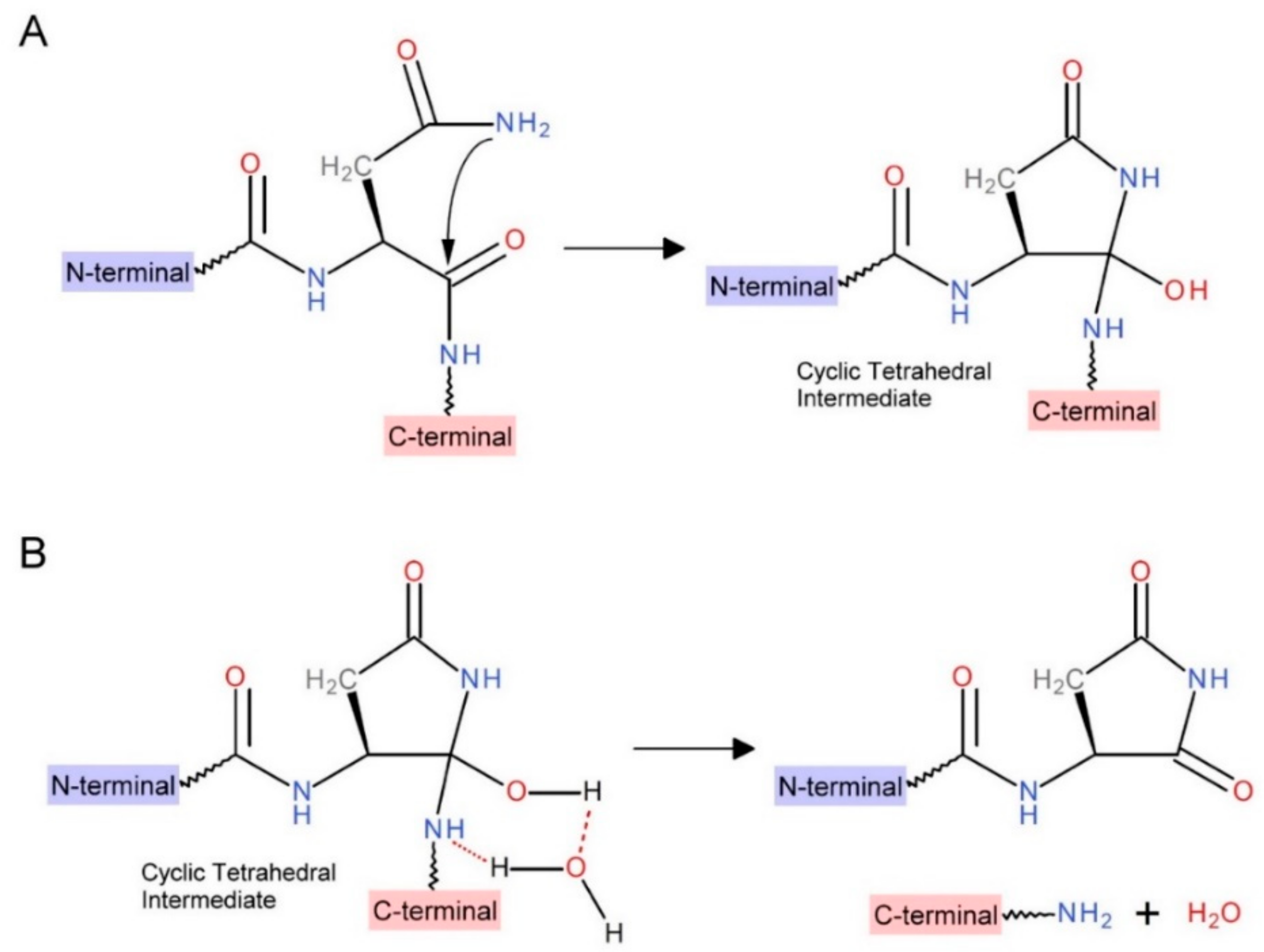 Molecules 25 01005 sch001