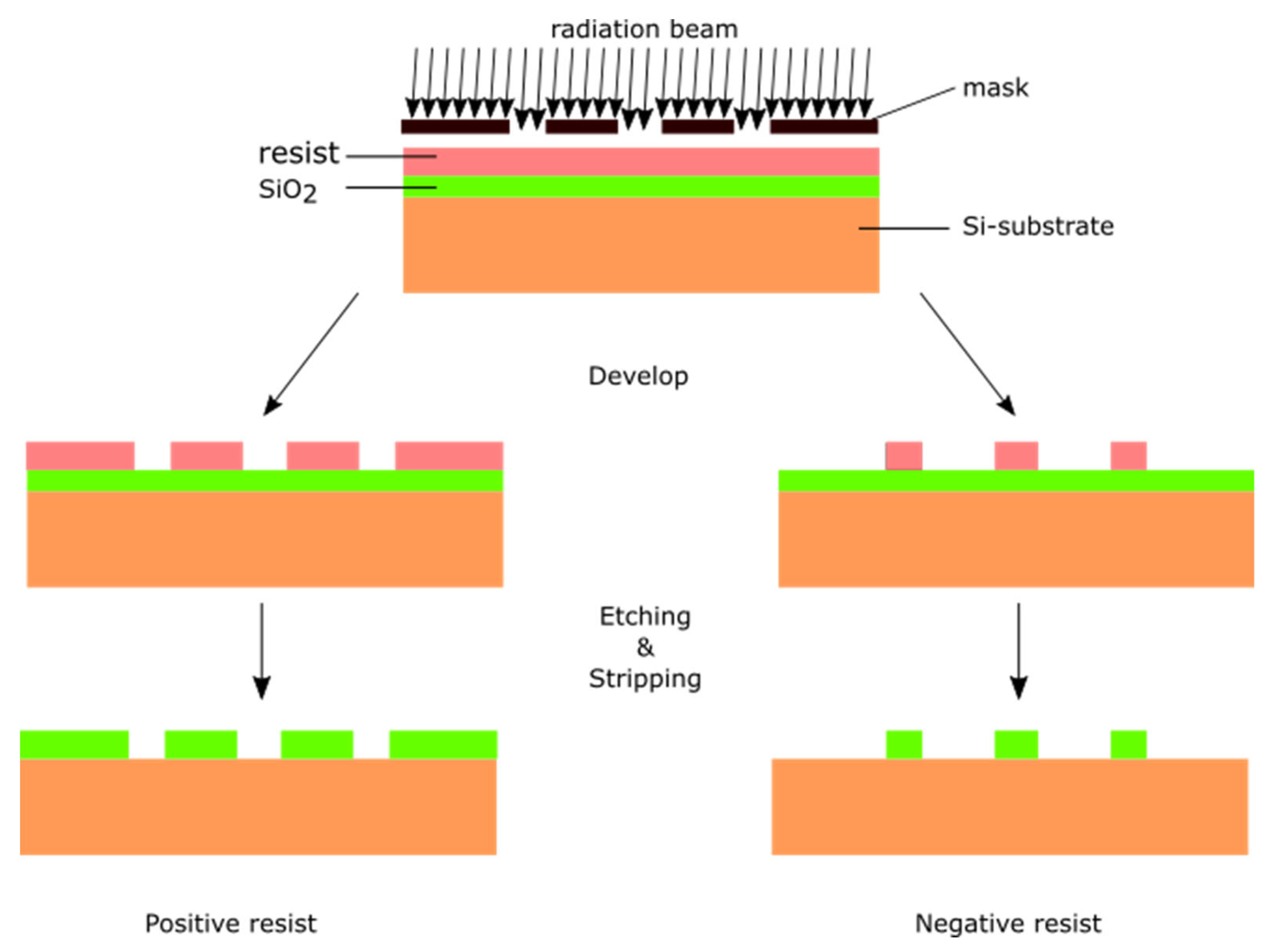 Molecules 25 01009 g002 Molecules 25 01009 g002